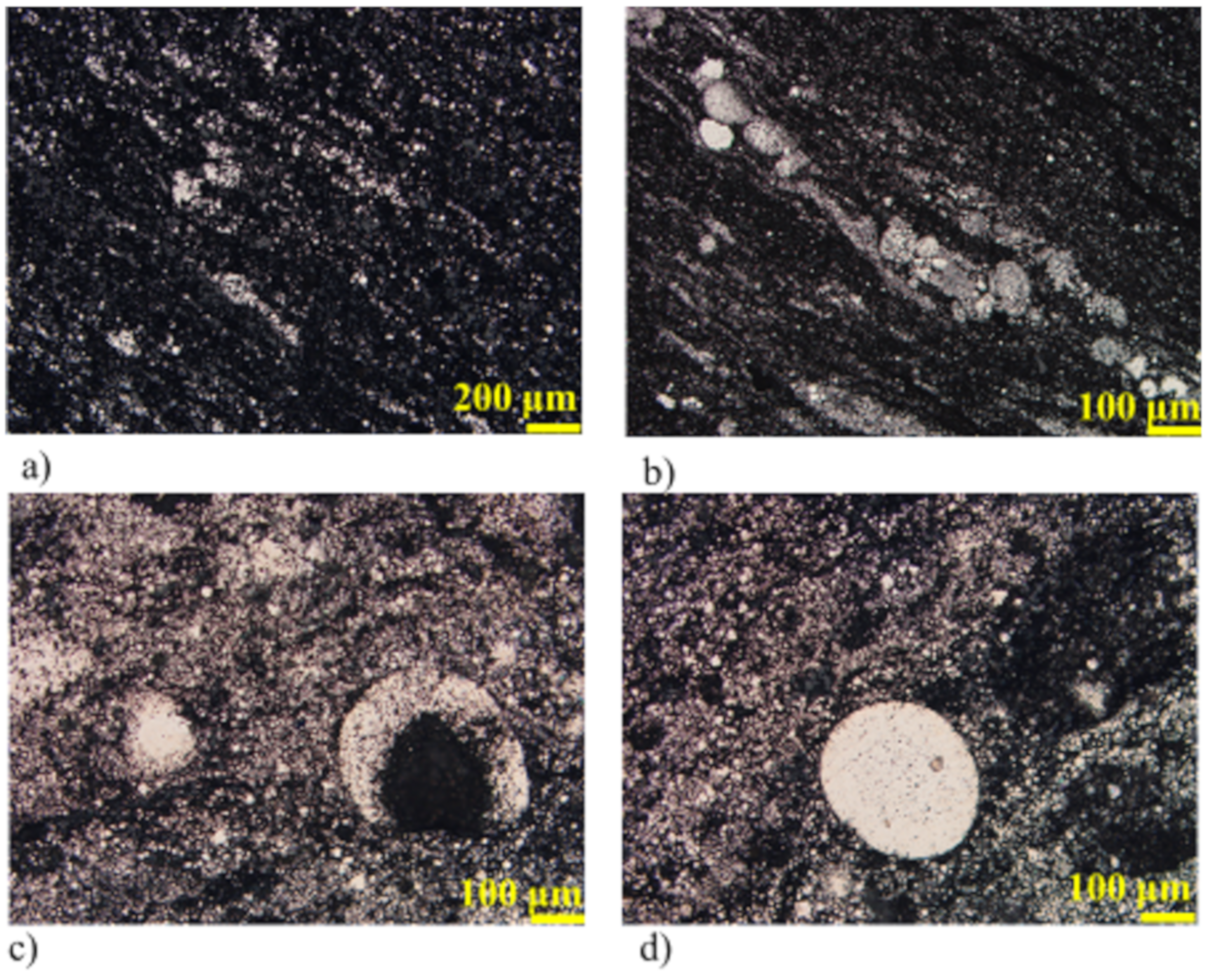 Minerals 10 00588 g004