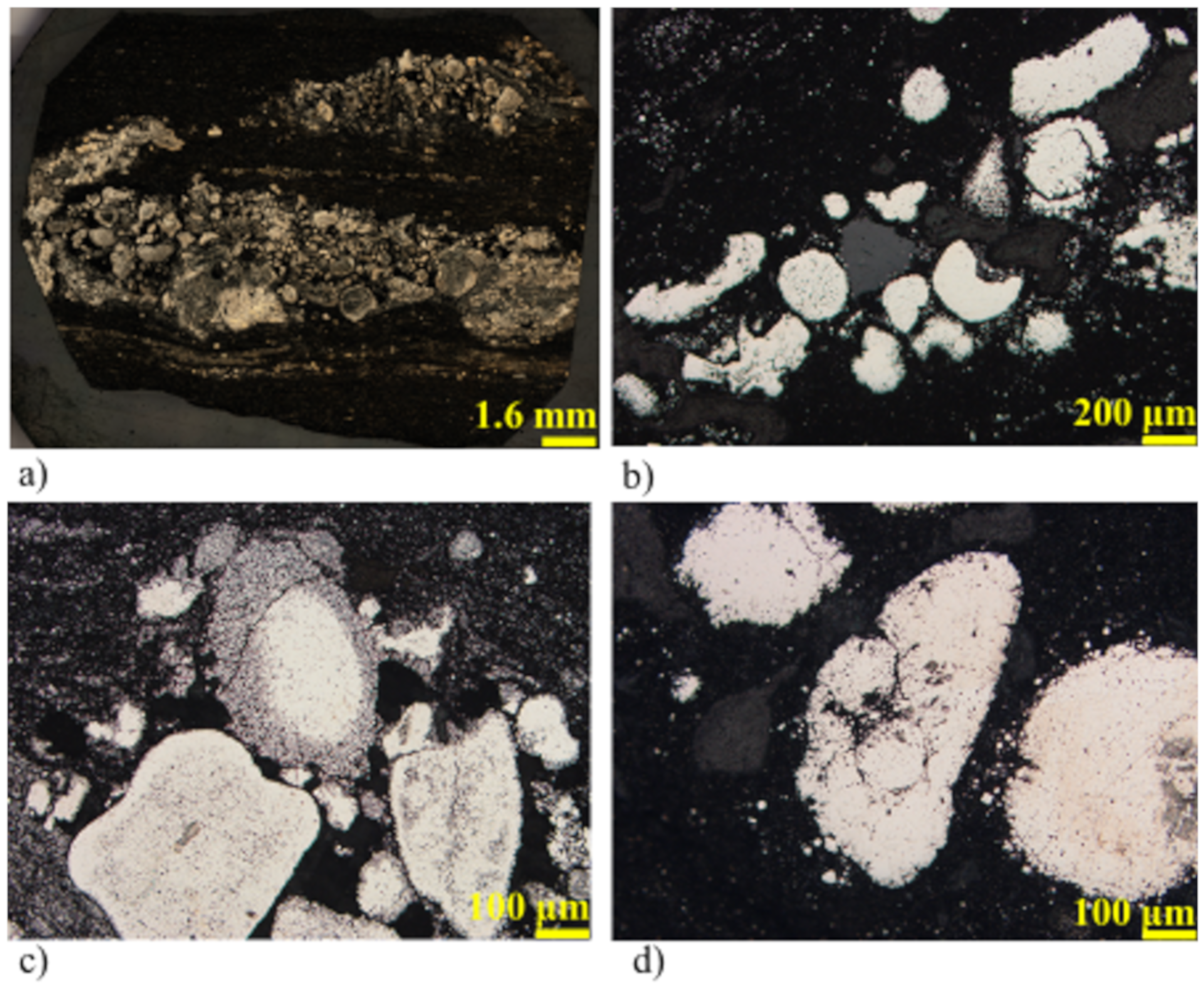 Minerals 10 00588 g005