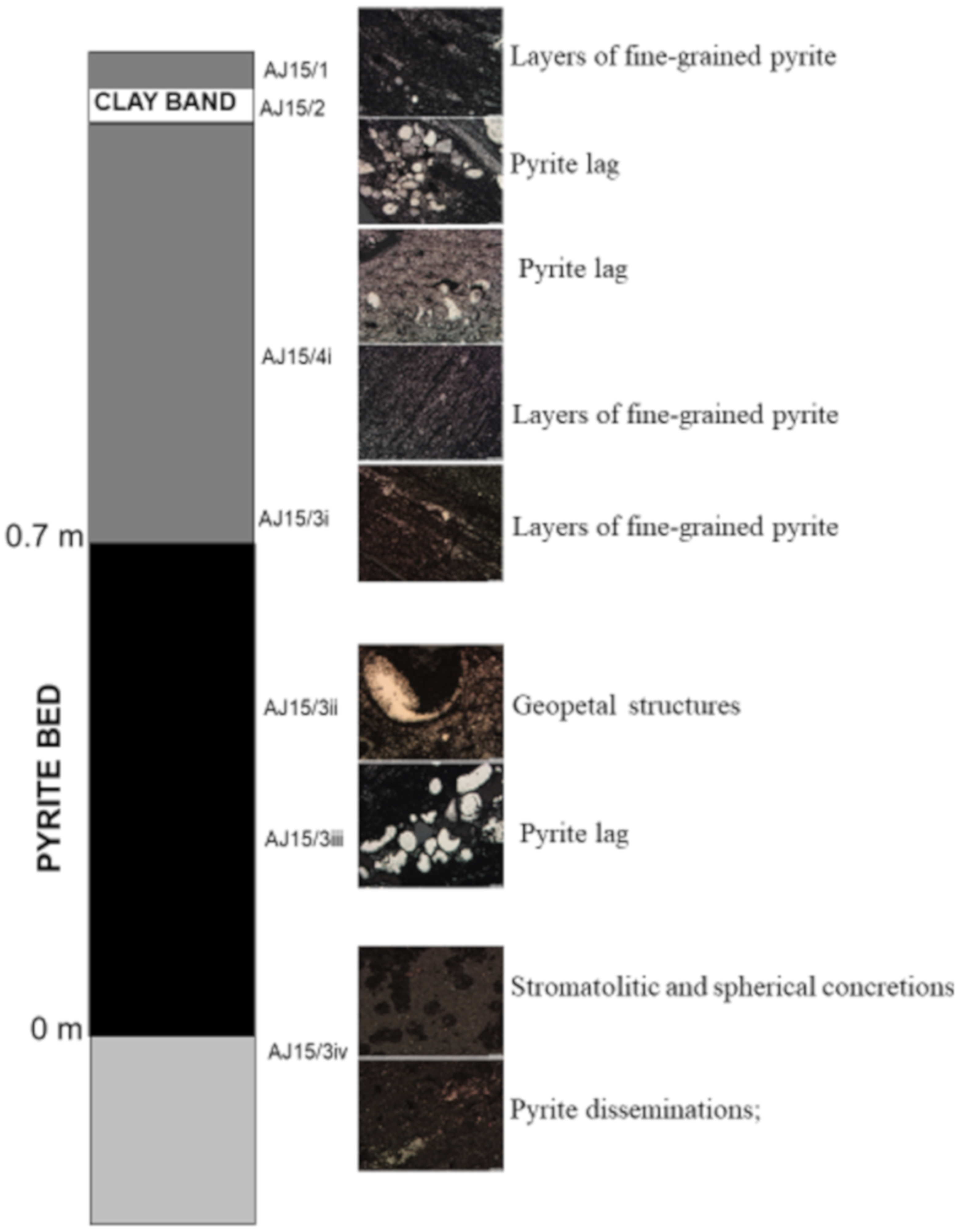 Minerals 10 00588 g008