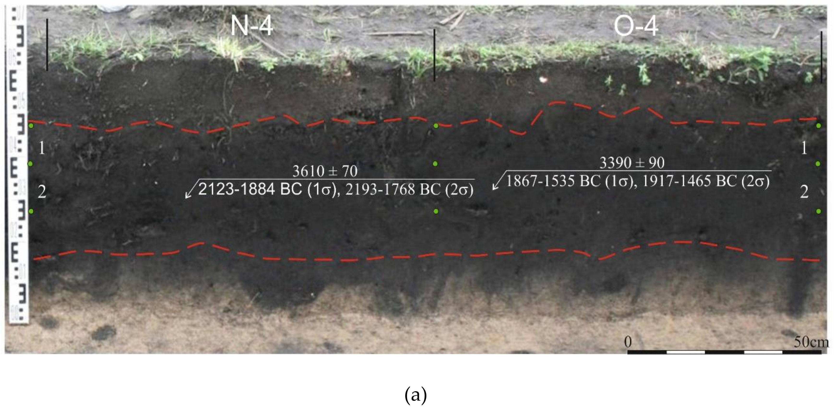 Minerals 10 00607 g005a Minerals 10 00607 g005a