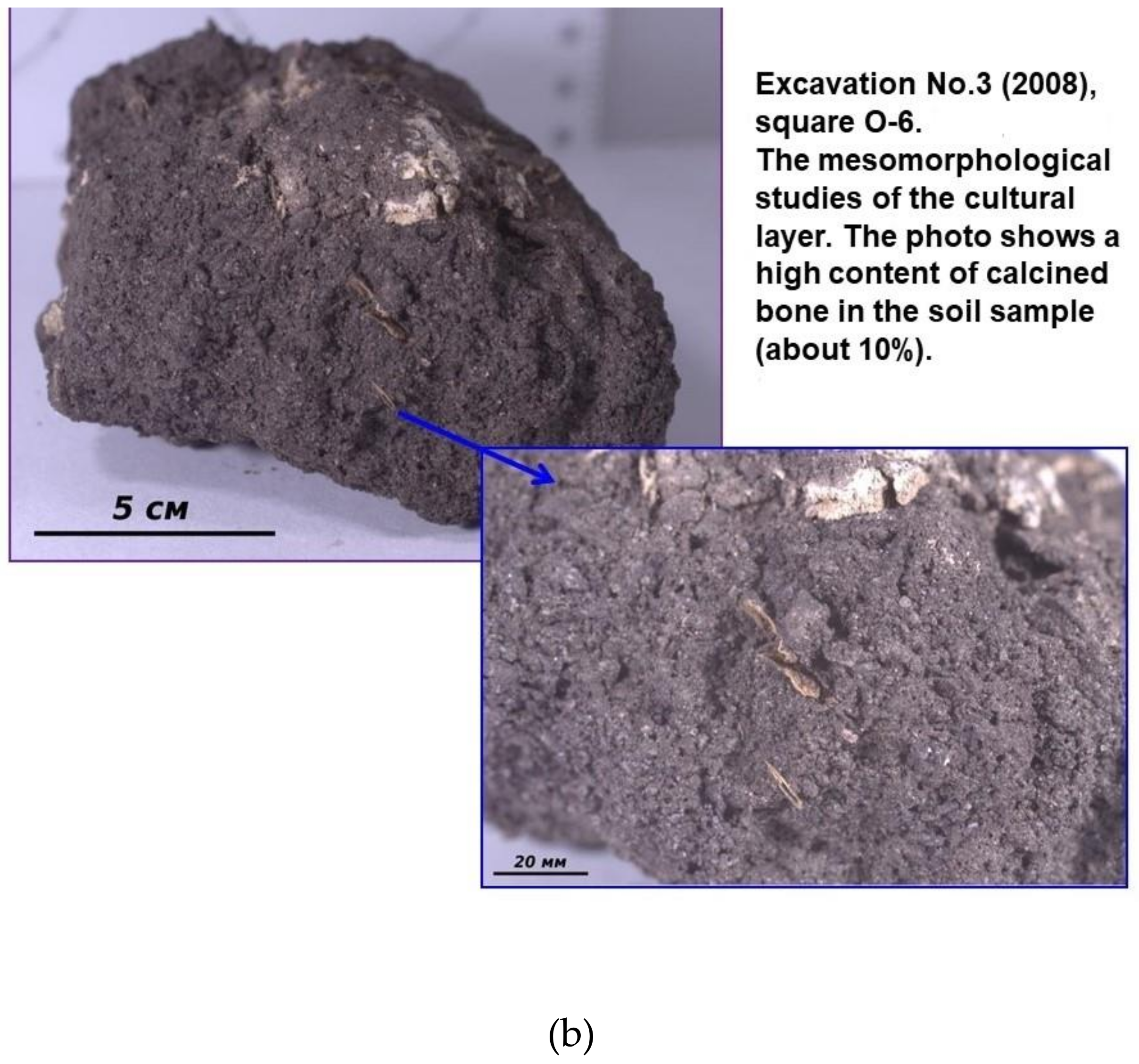Minerals 10 00607 g005b Minerals 10 00607 g005b