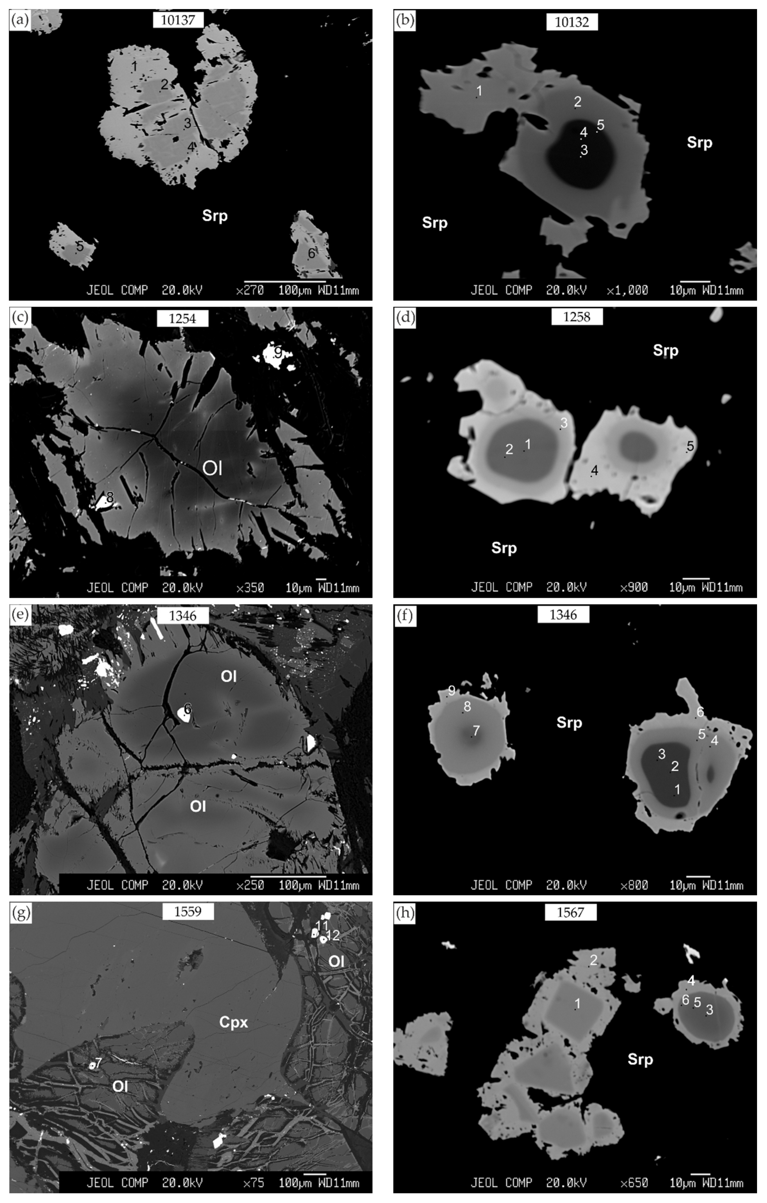 Minerals 10 00608 g005
