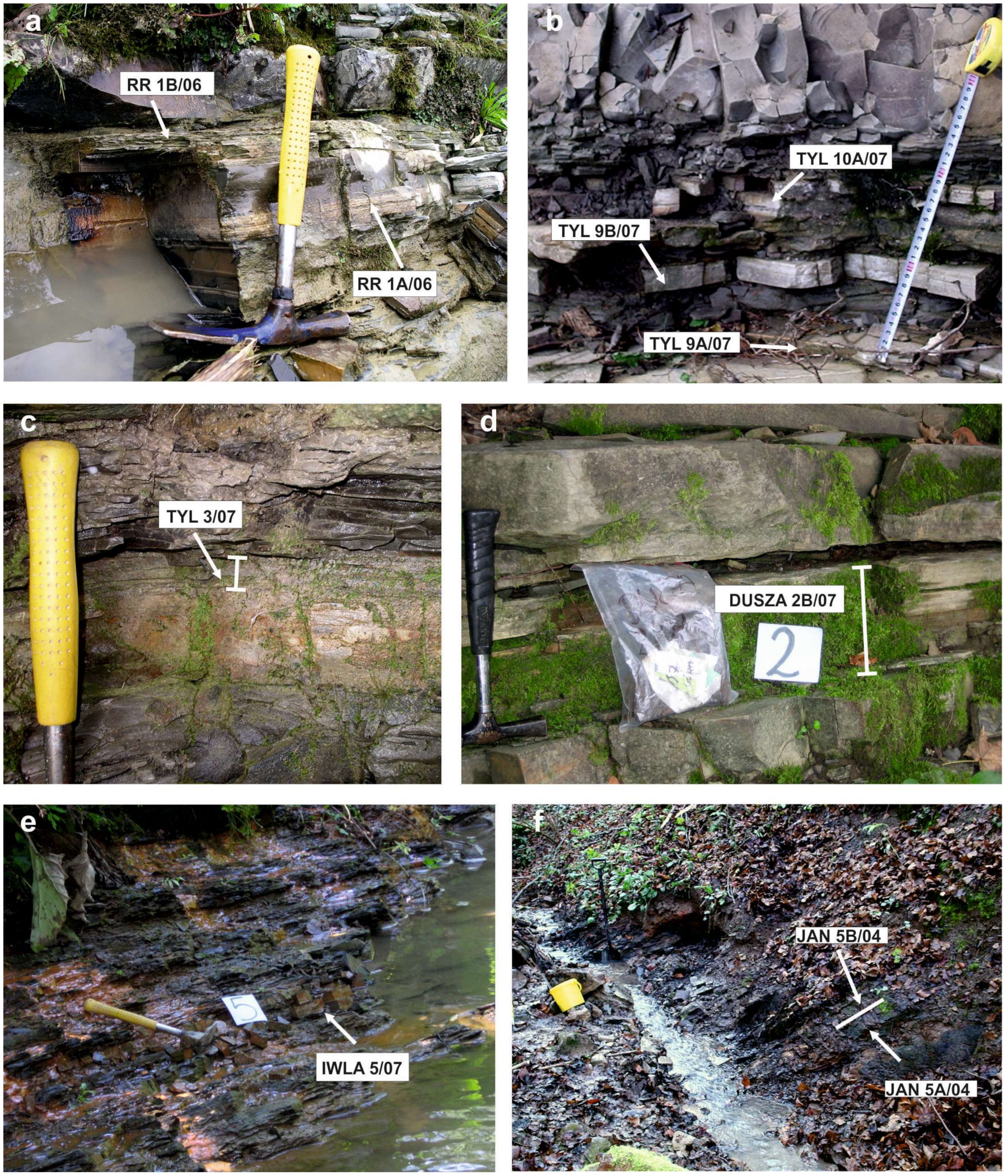 Minerals 10 00616 g003 Minerals 10 00616 g003