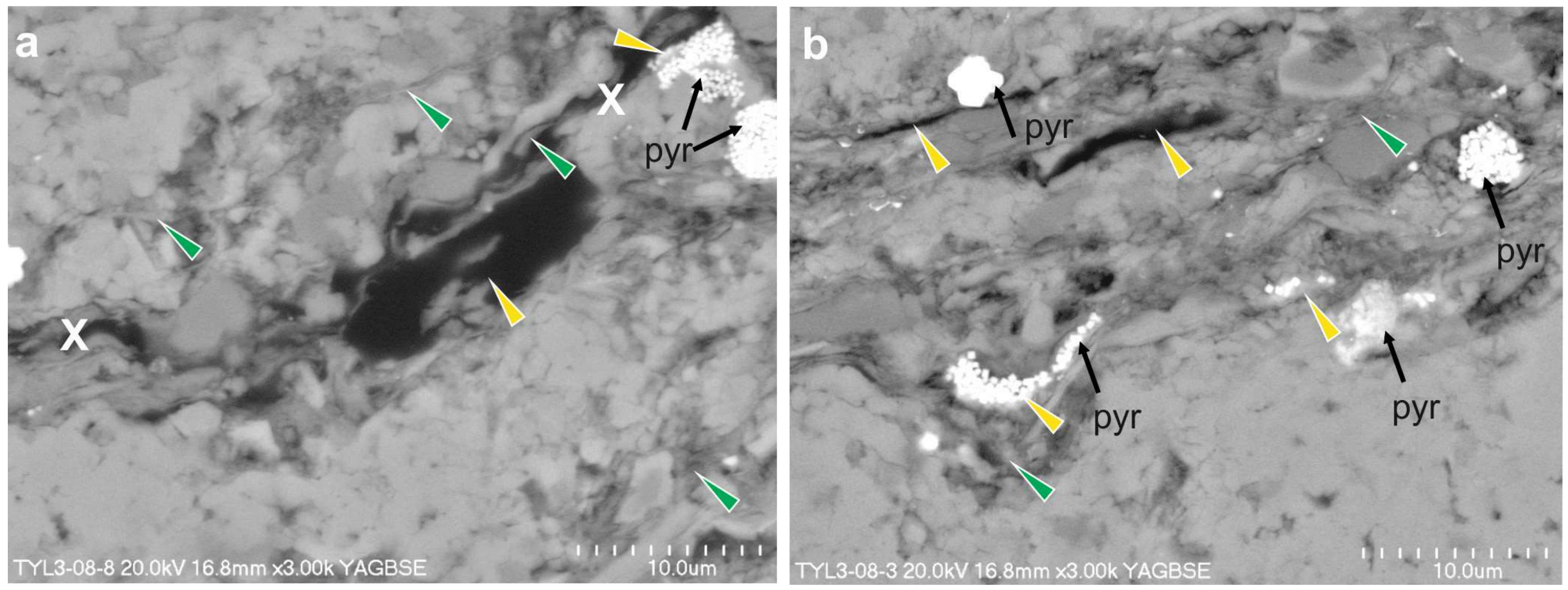Minerals 10 00616 g007 Minerals 10 00616 g007