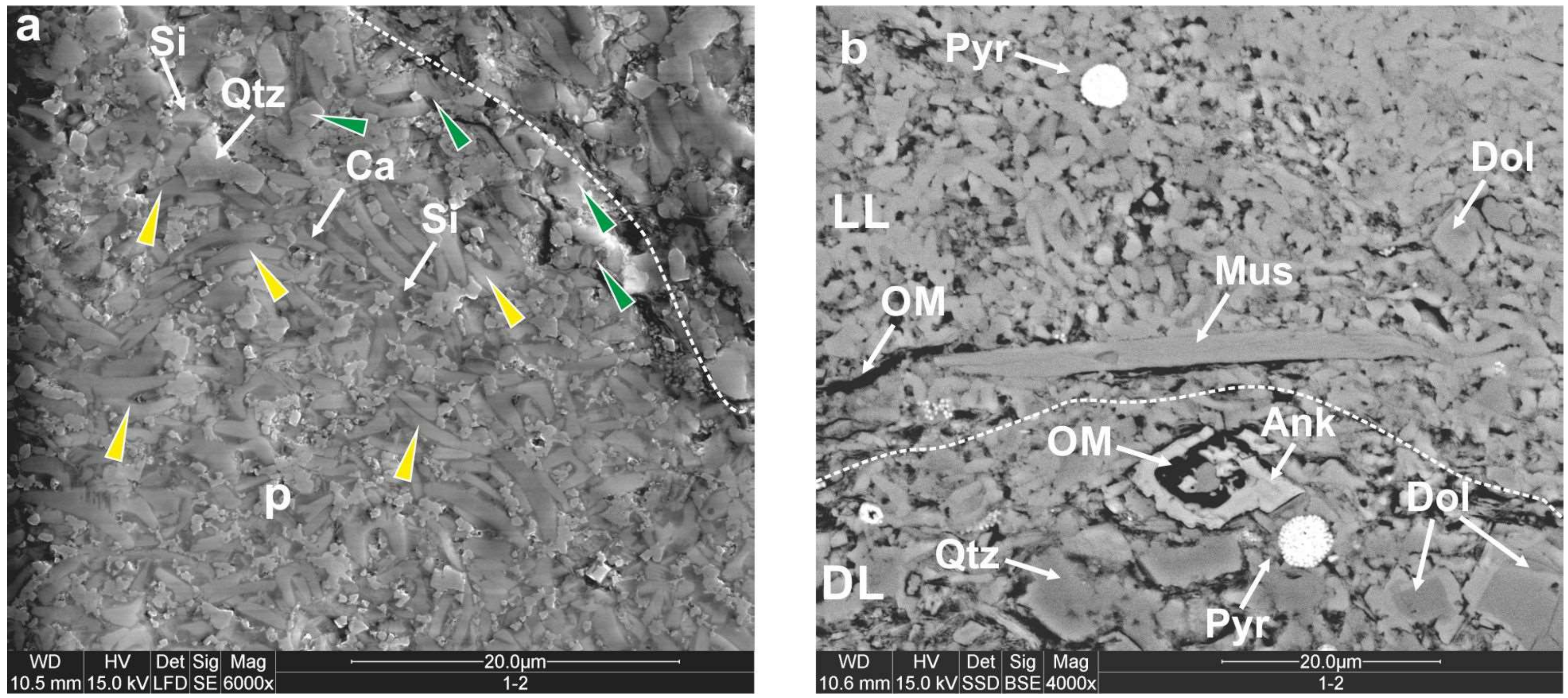 Minerals 10 00616 g009 Minerals 10 00616 g009
