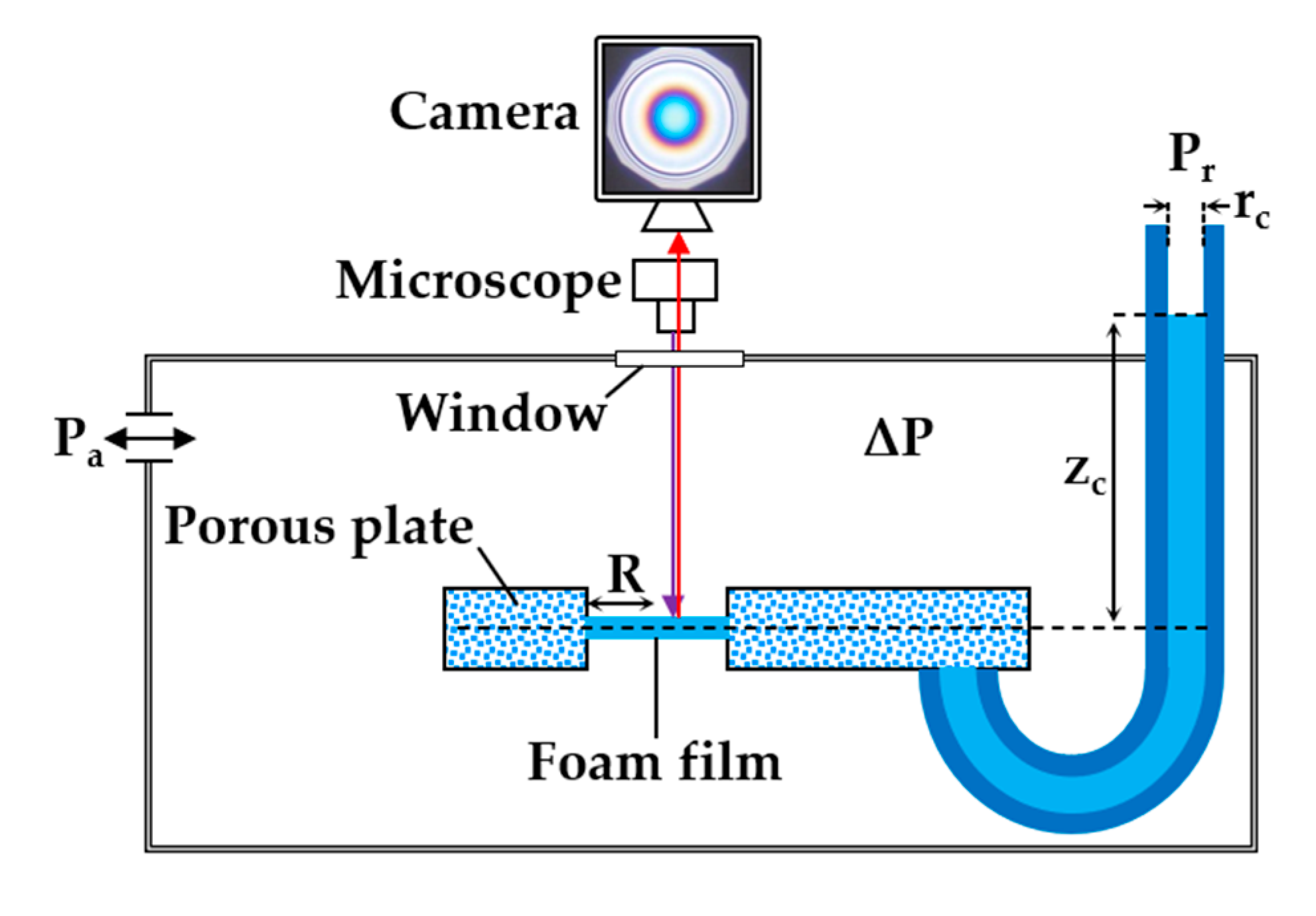 Minerals 10 00636 g002 Minerals 10 00636 g002