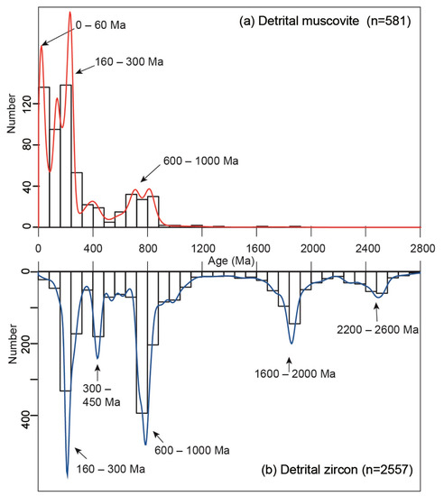 Comparison of Detrital Zircon U-Pb and Muscovite 40Ar/39Ar