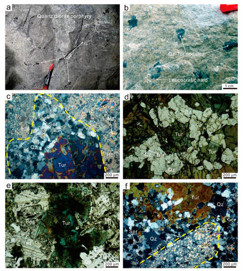 Geochemistry of Tourmaline from the Laodou Gold Deposit in