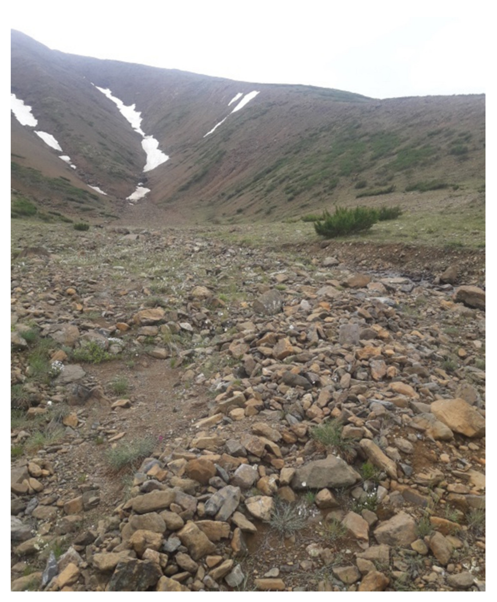 Minerals 10 00682 g003