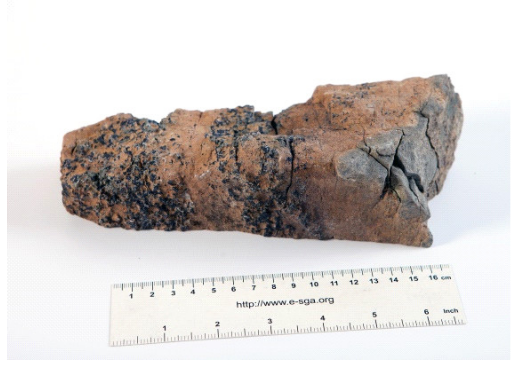 Minerals 10 00682 g004