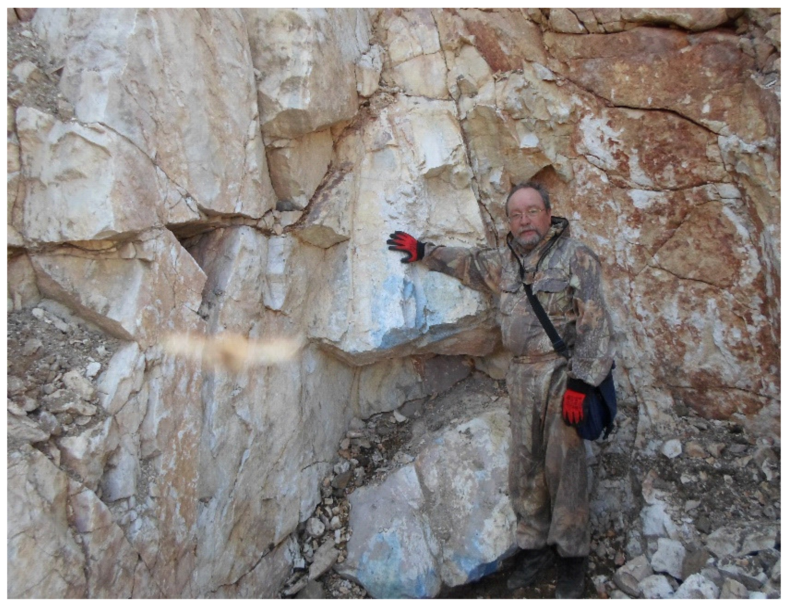 Minerals 10 00682 g007