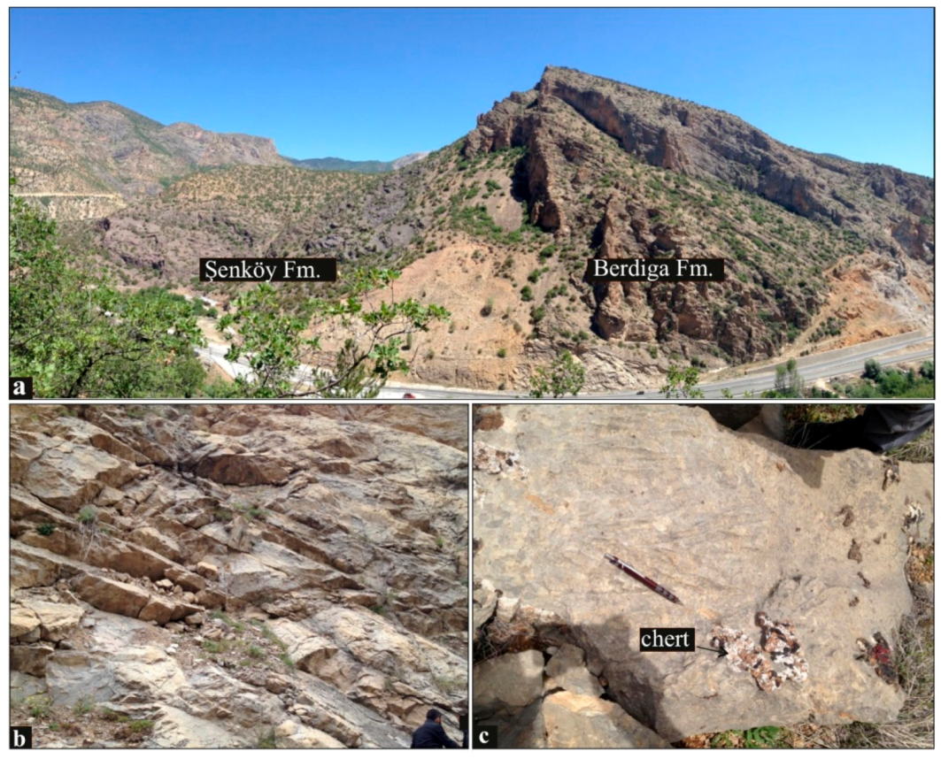 Minerals 10 00683 g003 Minerals 10 00683 g003