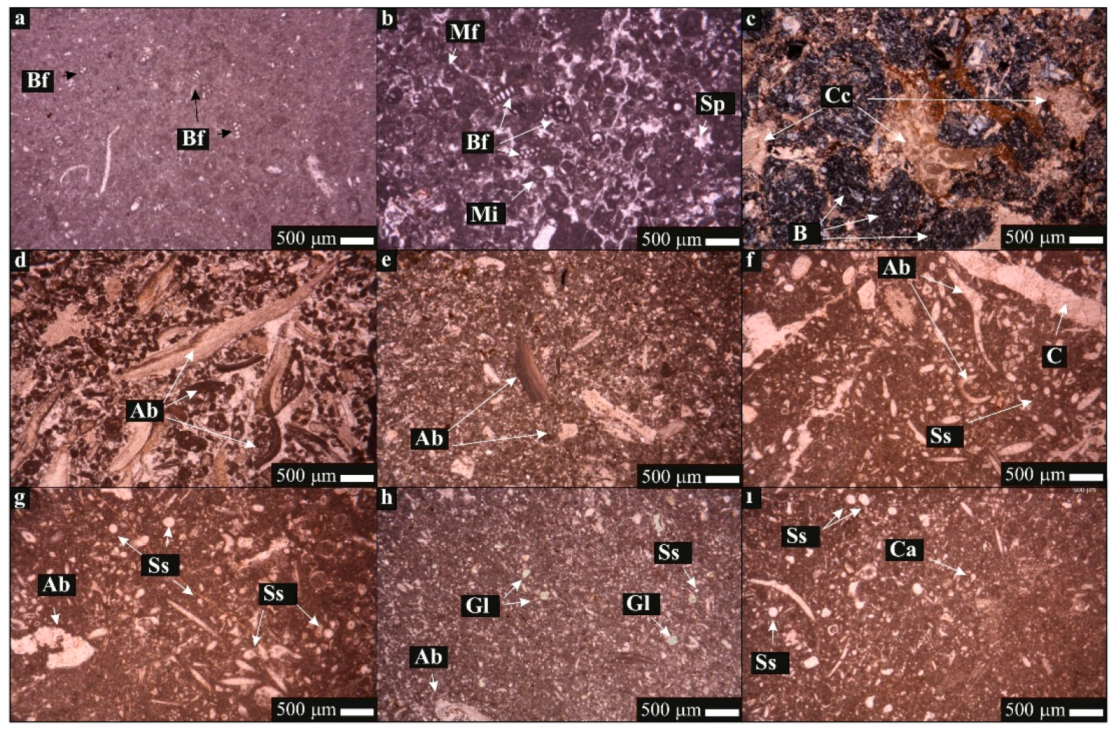 Minerals 10 00683 g004 Minerals 10 00683 g004
