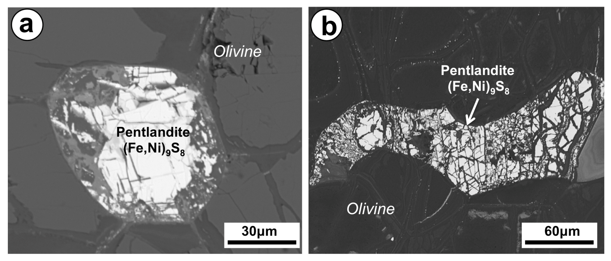 Minerals 10 00686 g007 Minerals 10 00686 g007