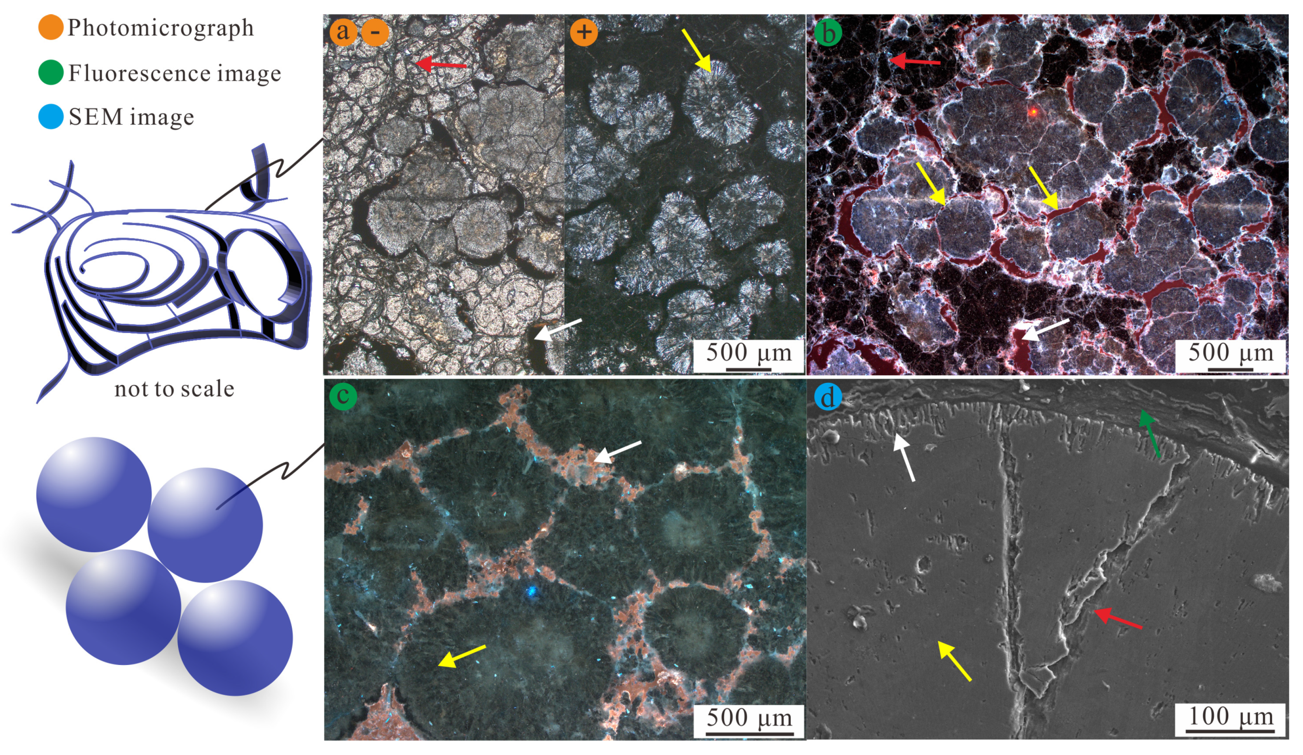 Minerals 10 00699 g004