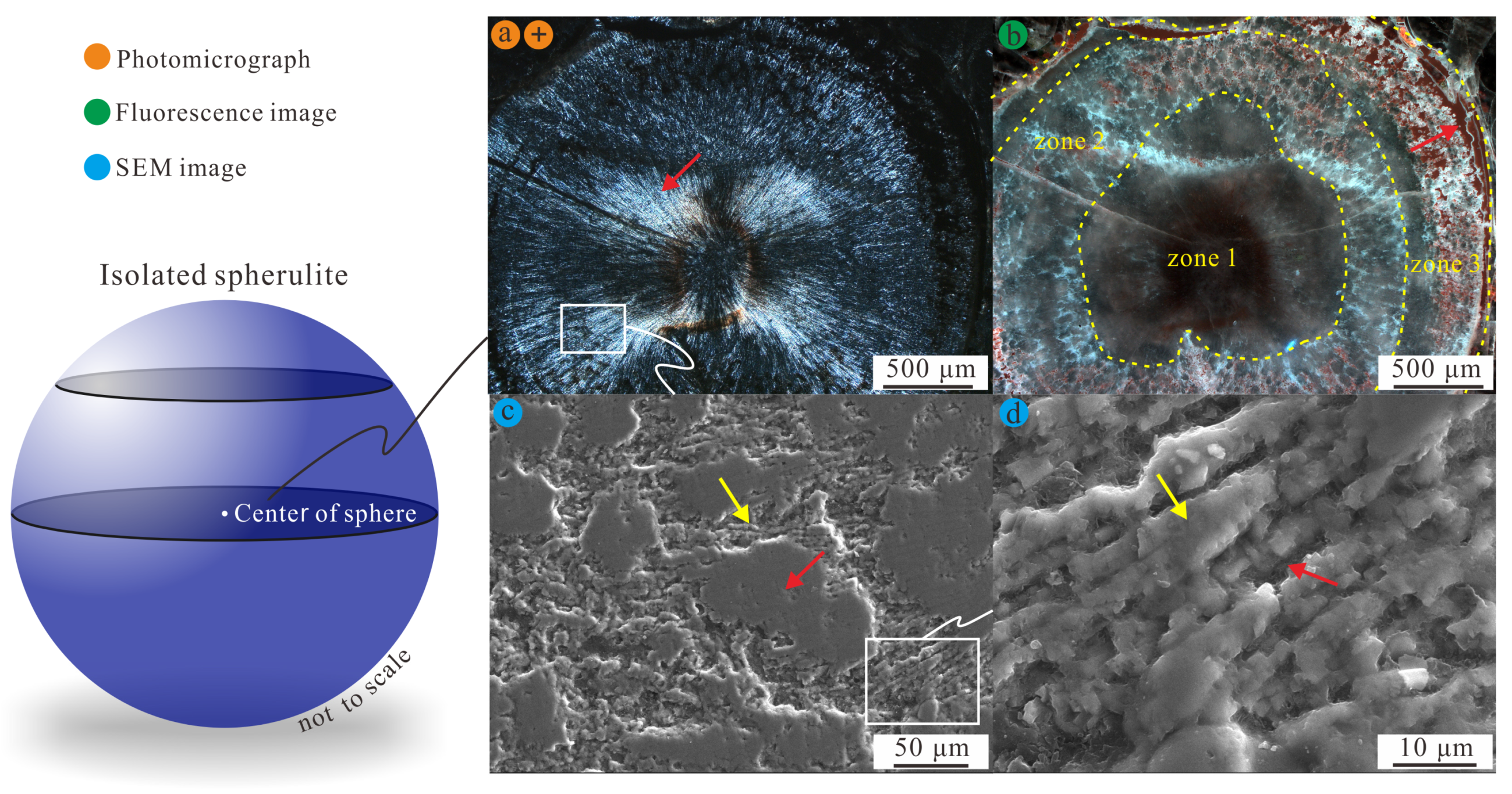 Minerals 10 00699 g005