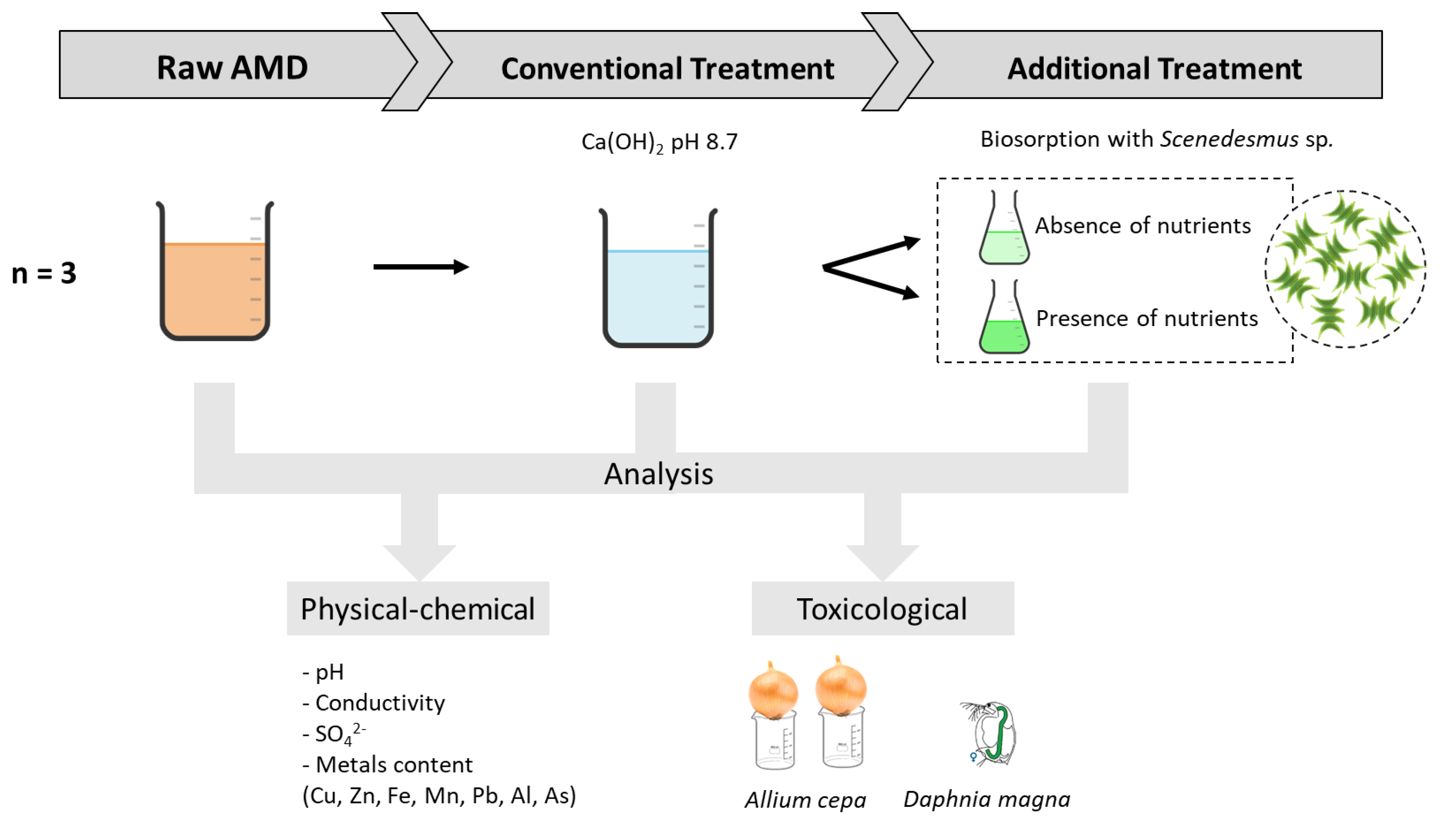 Minerals 10 00711 g001 Minerals 10 00711 g001