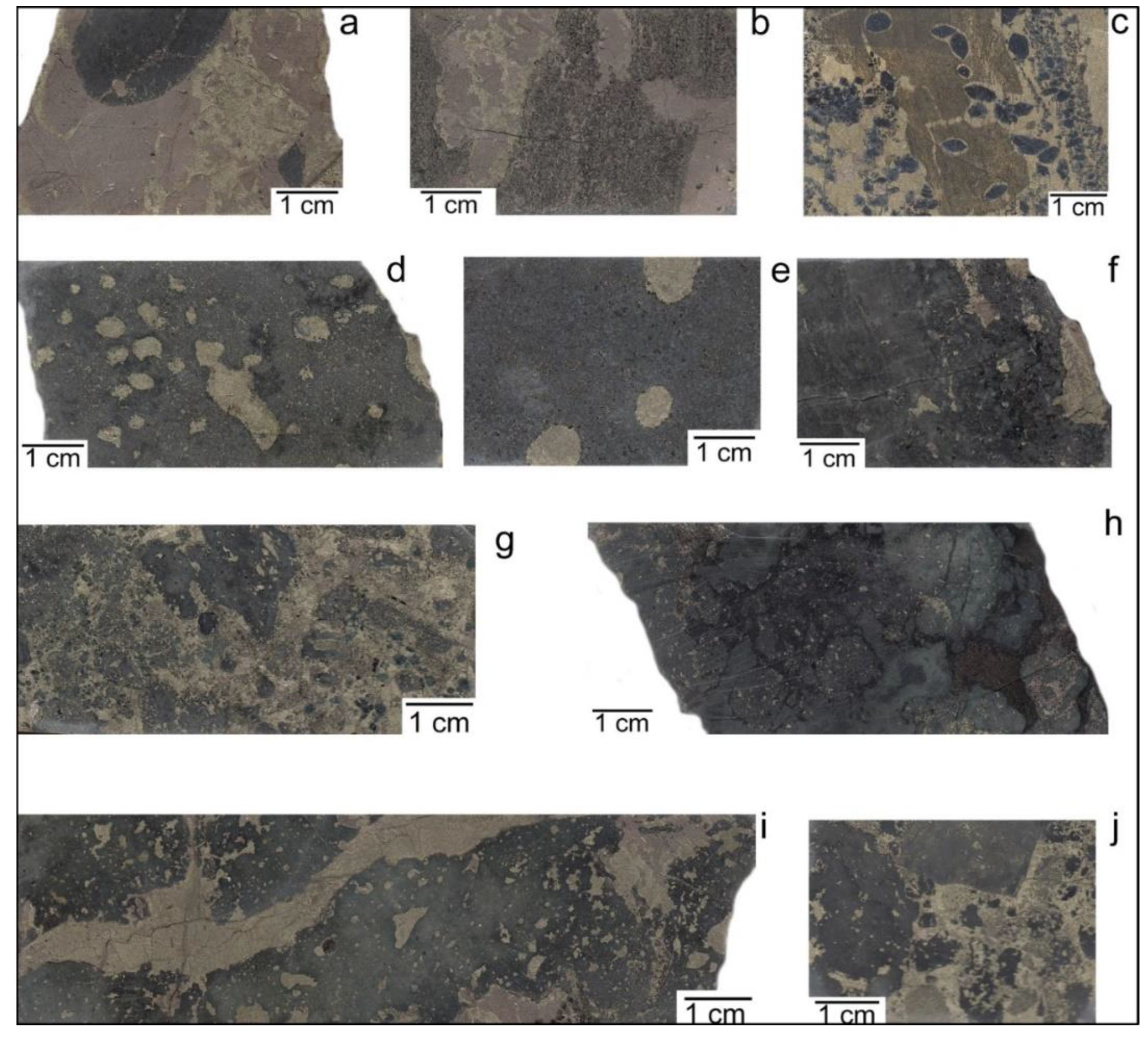 Minerals 10 00716 g002 Minerals 10 00716 g002