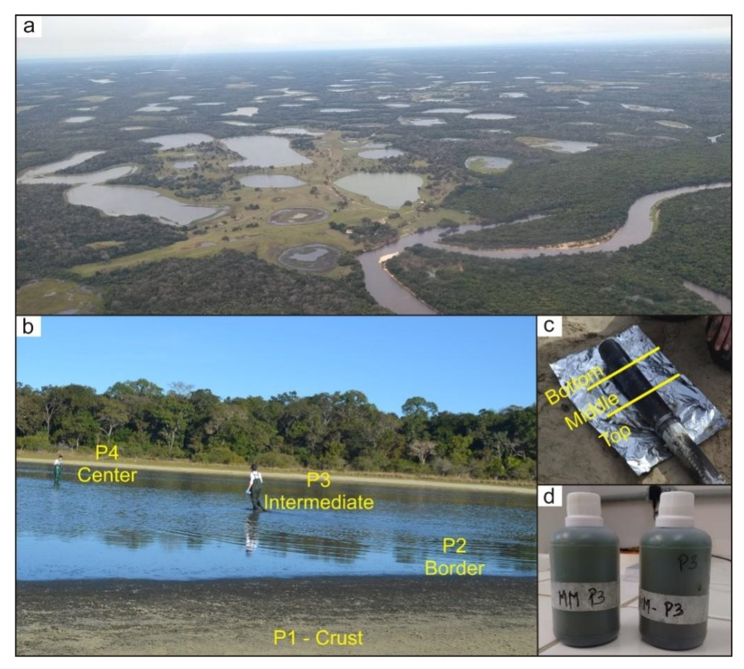 Minerals 10 00718 g002