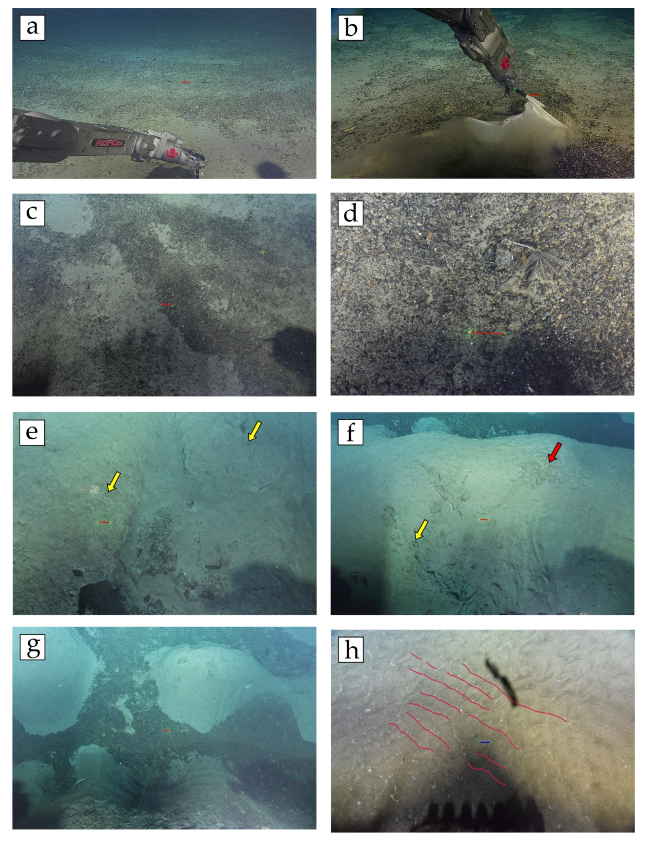 Minerals 10 00768 g002 Minerals 10 00768 g002