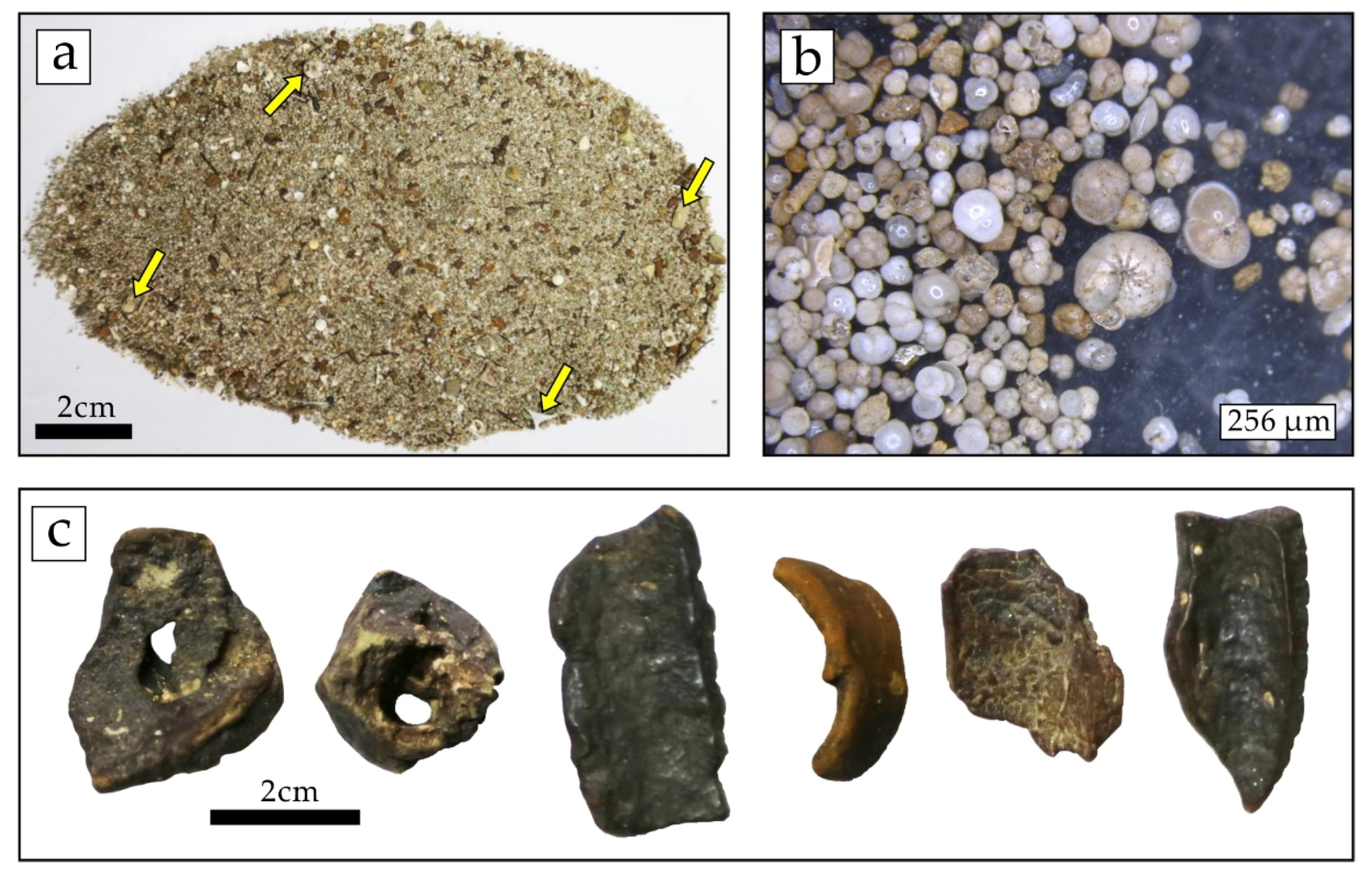 Minerals 10 00768 g003 Minerals 10 00768 g003