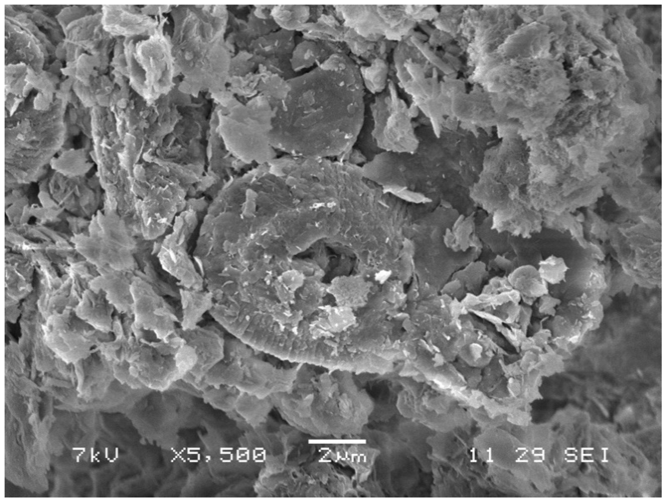 Minerals 10 00796 g013