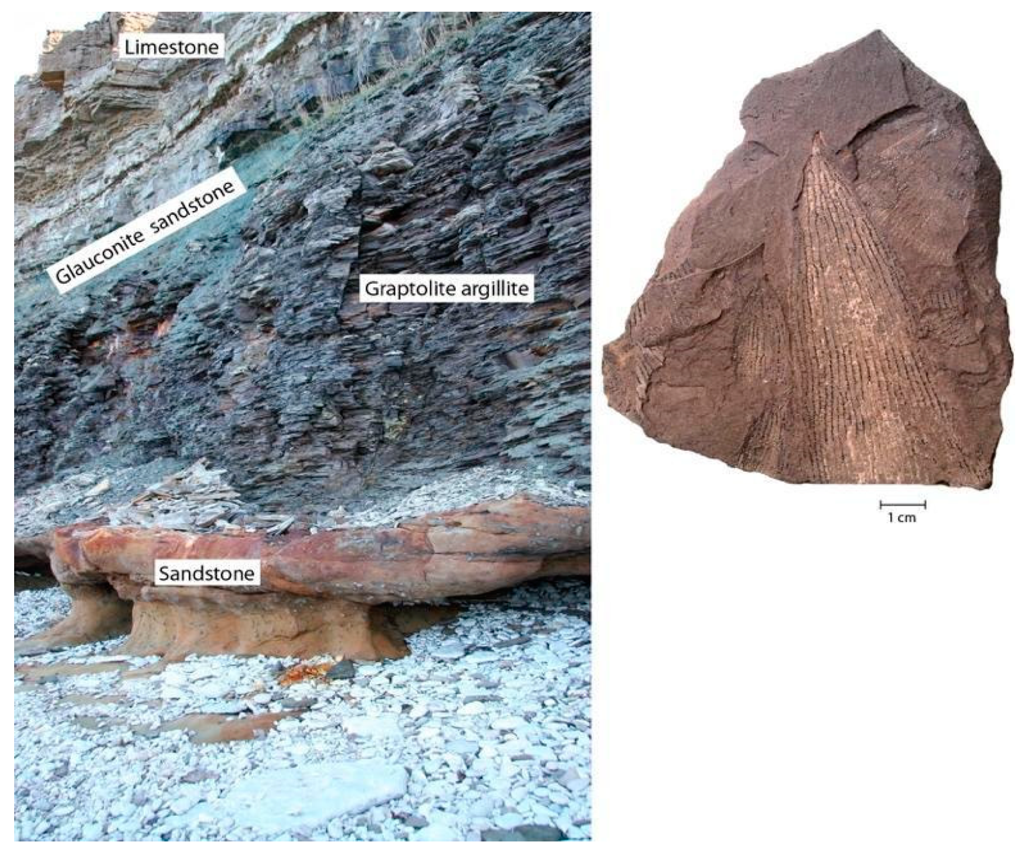 Minerals 10 00798 g002 Minerals 10 00798 g002