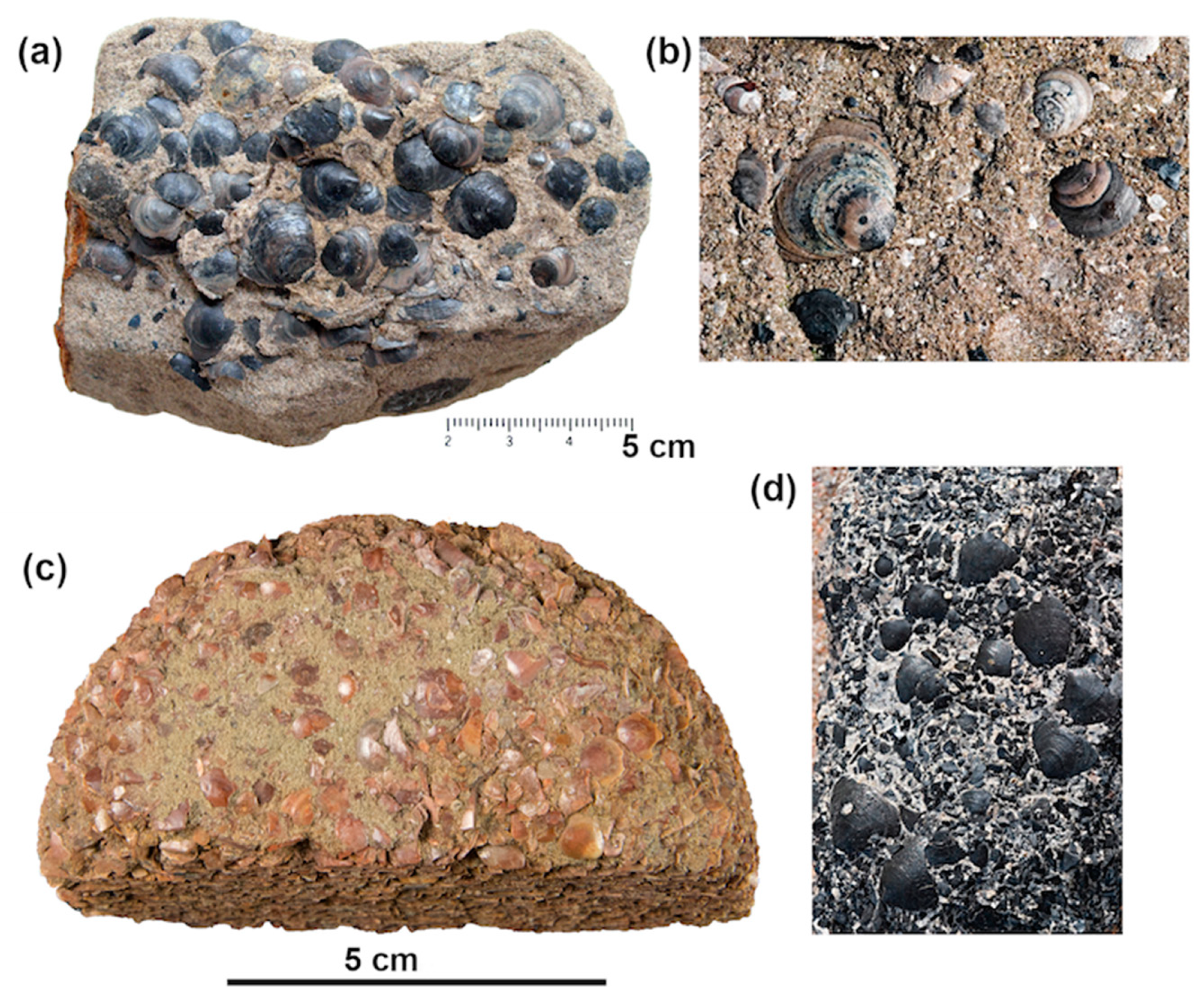 Minerals 10 00798 g005 Minerals 10 00798 g005