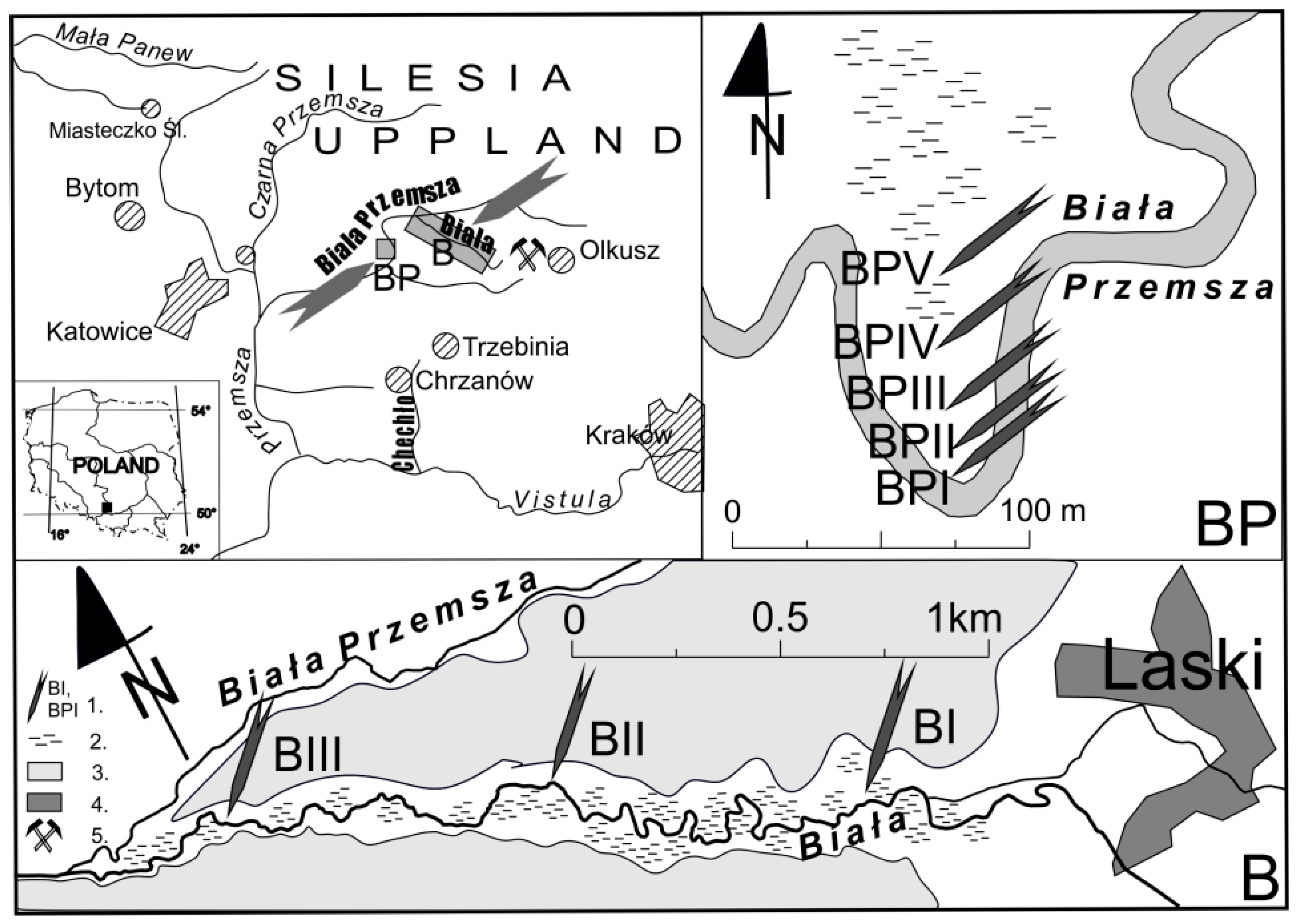 Minerals Free Full Text Metal Mobility In A Mine Affected Floodplain Html