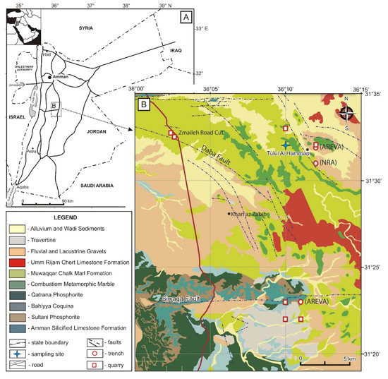 その他 thus Amazon.co.jp: イチネンアクセス ツール事業部 ストロングツール