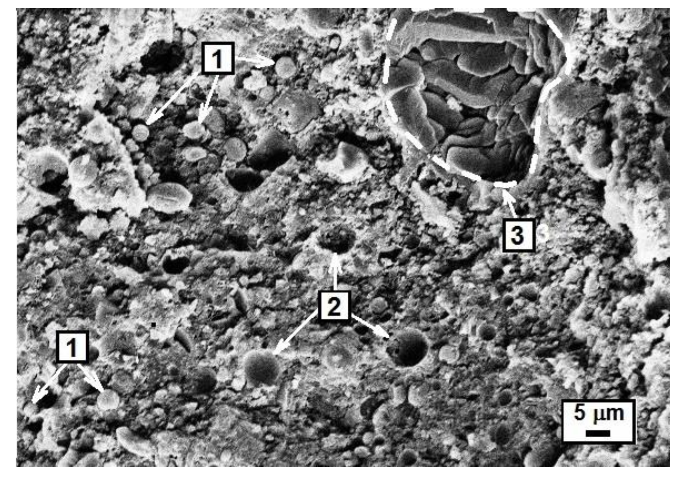 Minerals 10 00827 g015 Minerals 10 00827 g015