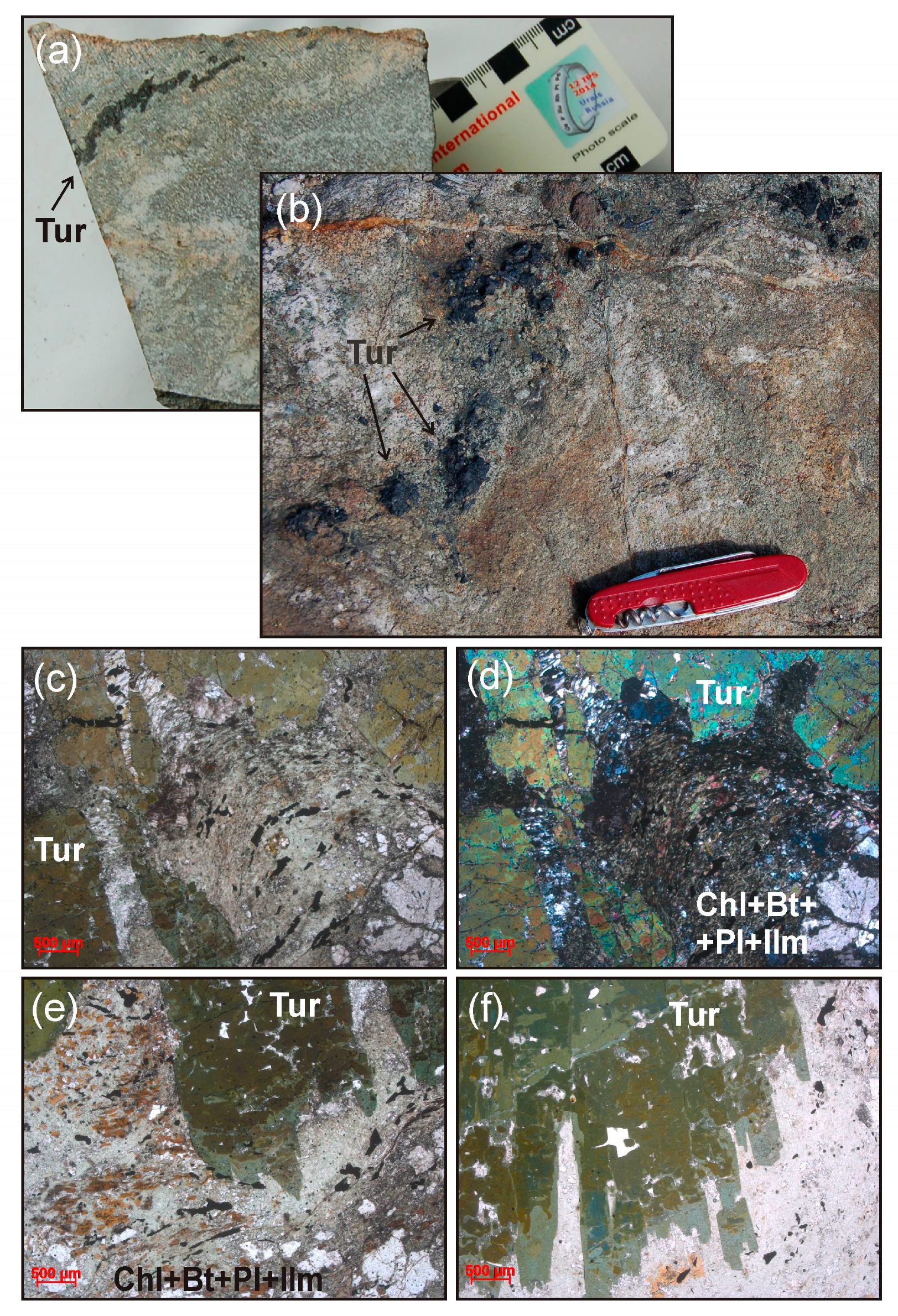 Minerals 10 00848 g006