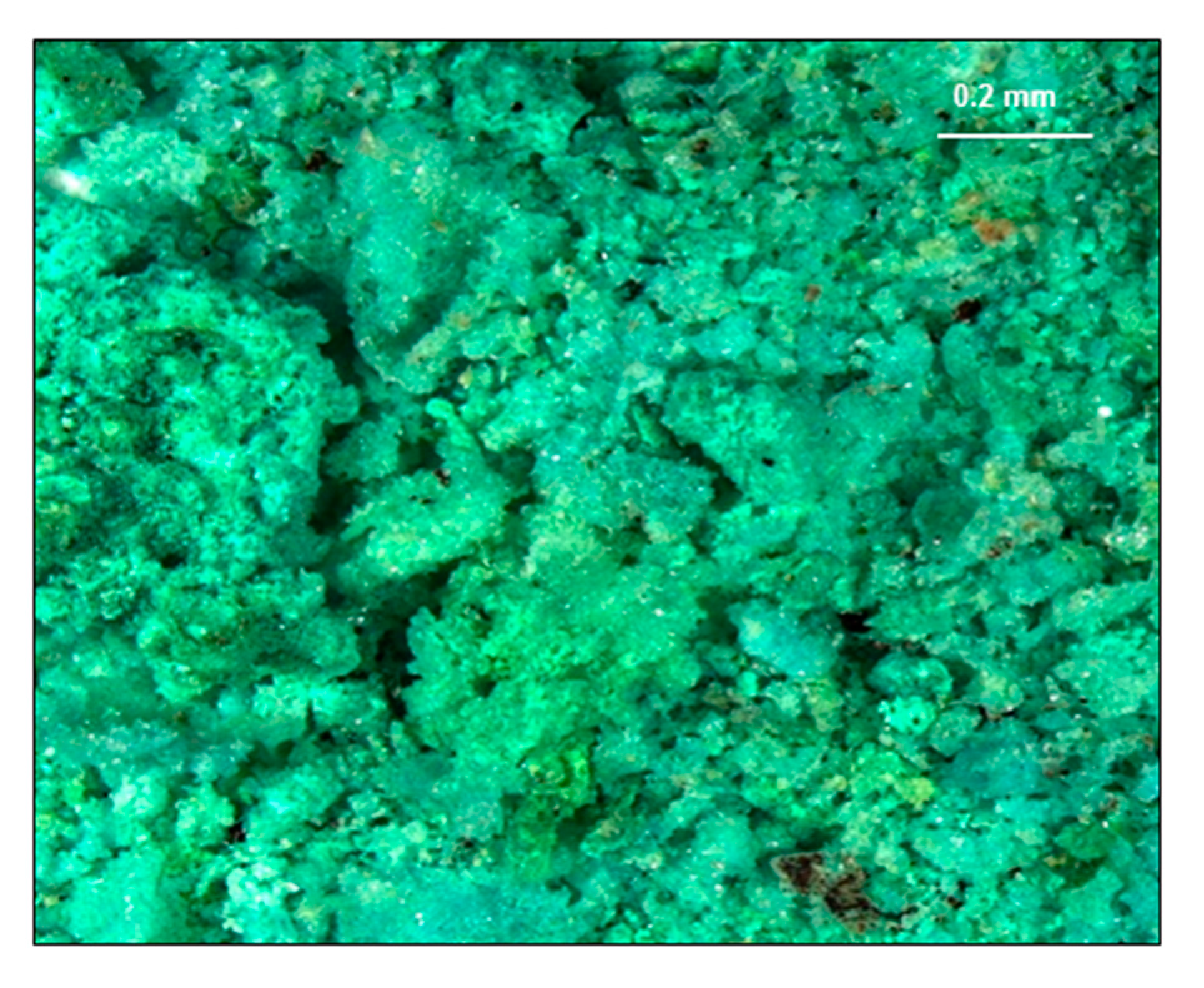 Minerals 10 00853 g006