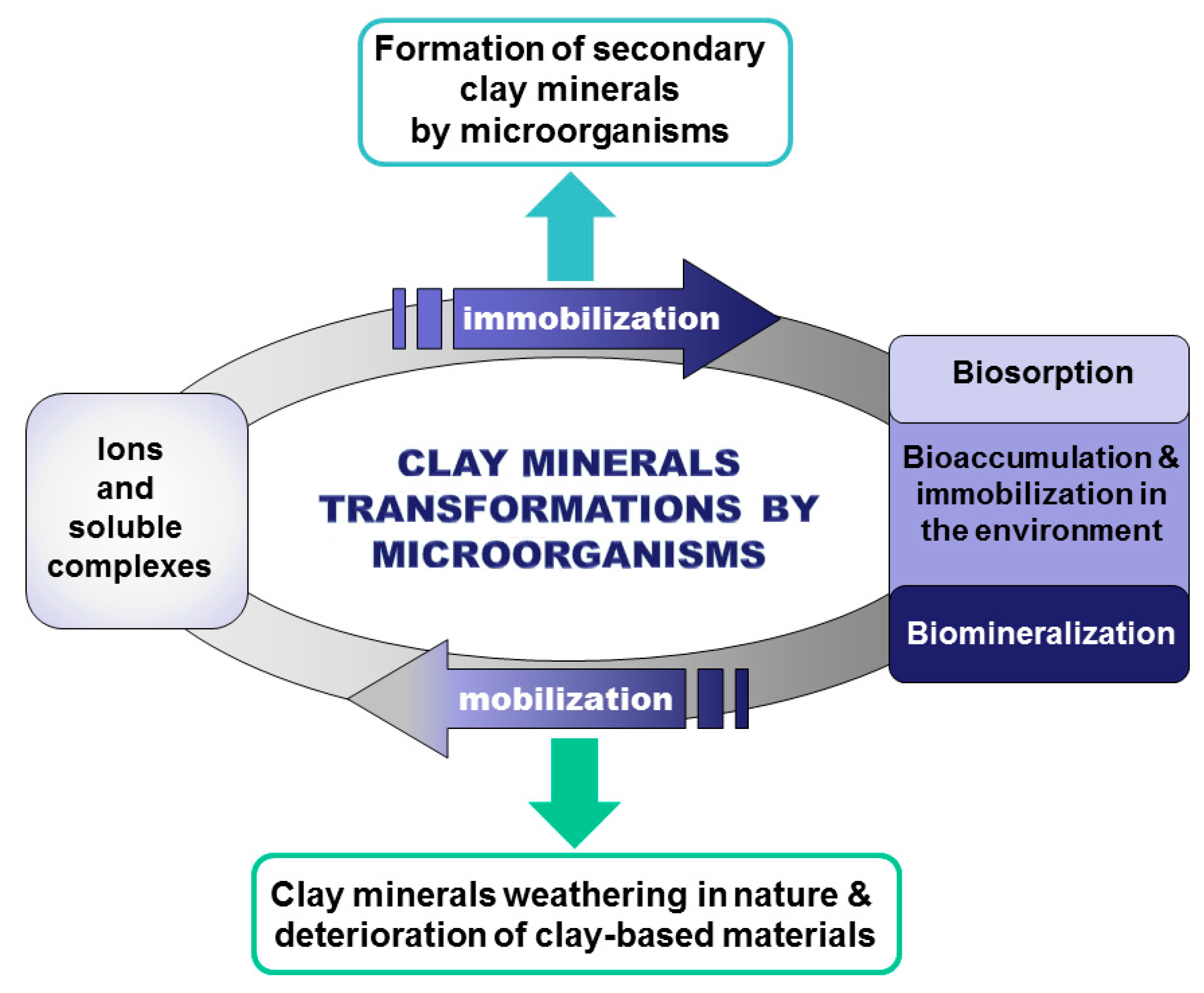 Minerals | Free Full-Text | Microbial Interaction with Clay Minerals and Its Environmental and Biotechnological Implications Minerals | Free Full-Text | Microbial Interaction with Clay Minerals and Its Environmental and Biotechnological Implications