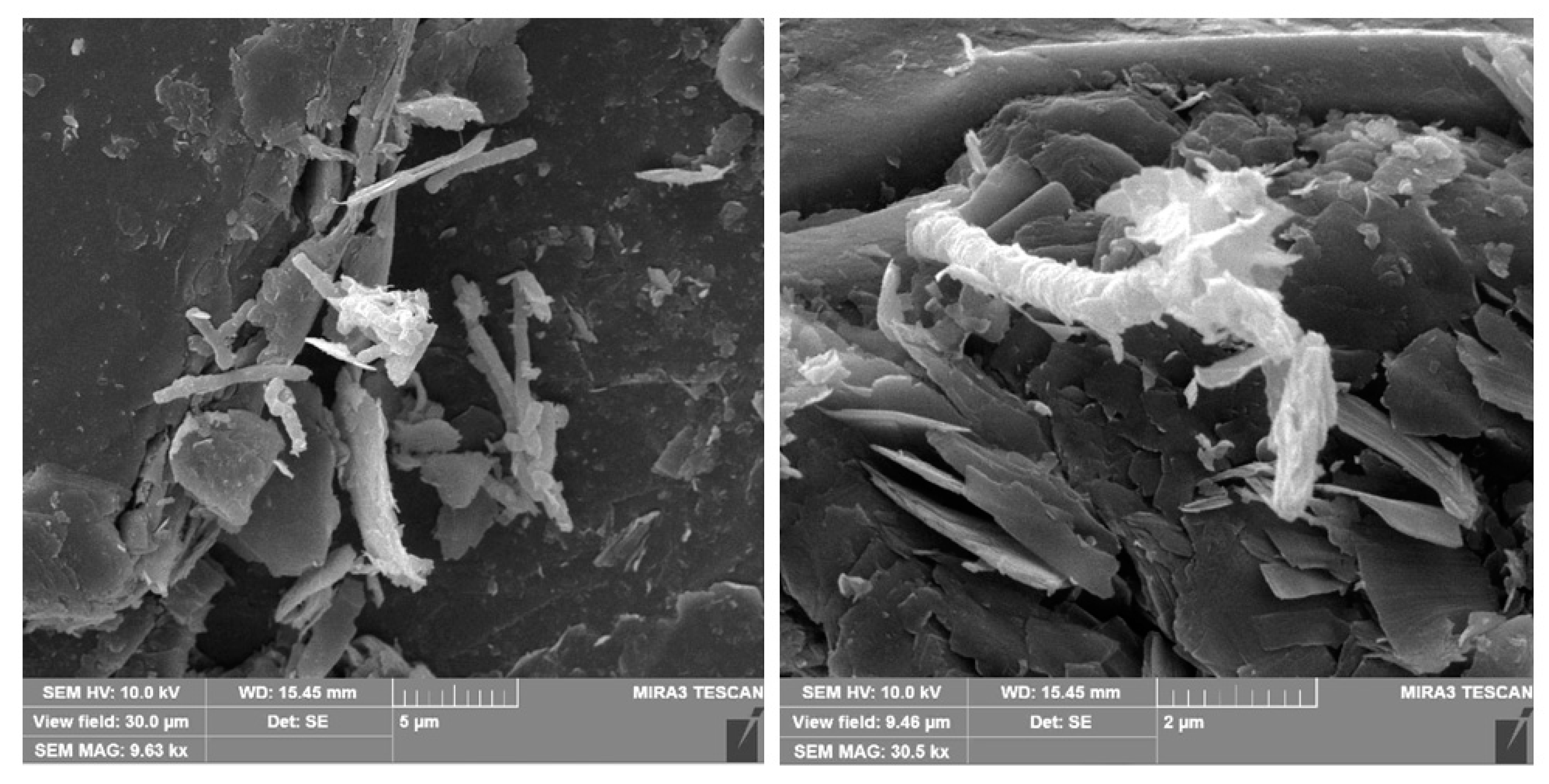 Minerals 10 00861 g006 Minerals 10 00861 g006