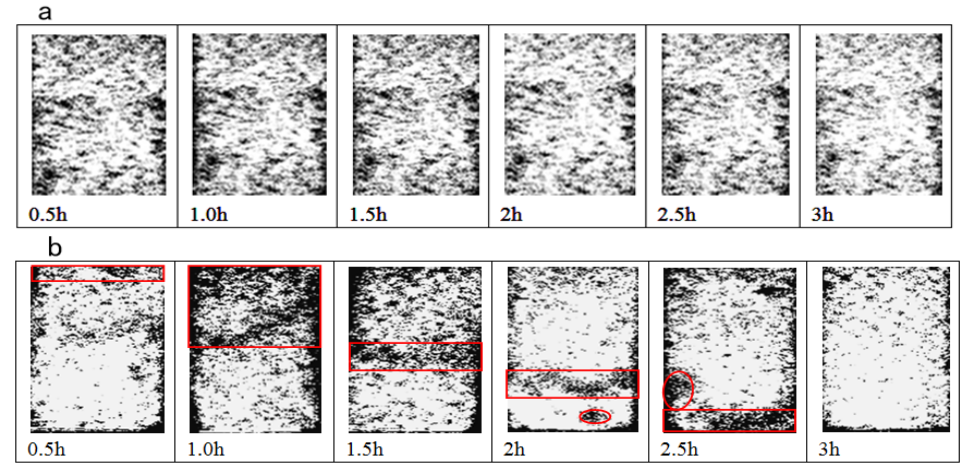 Minerals 10 00889 g004
