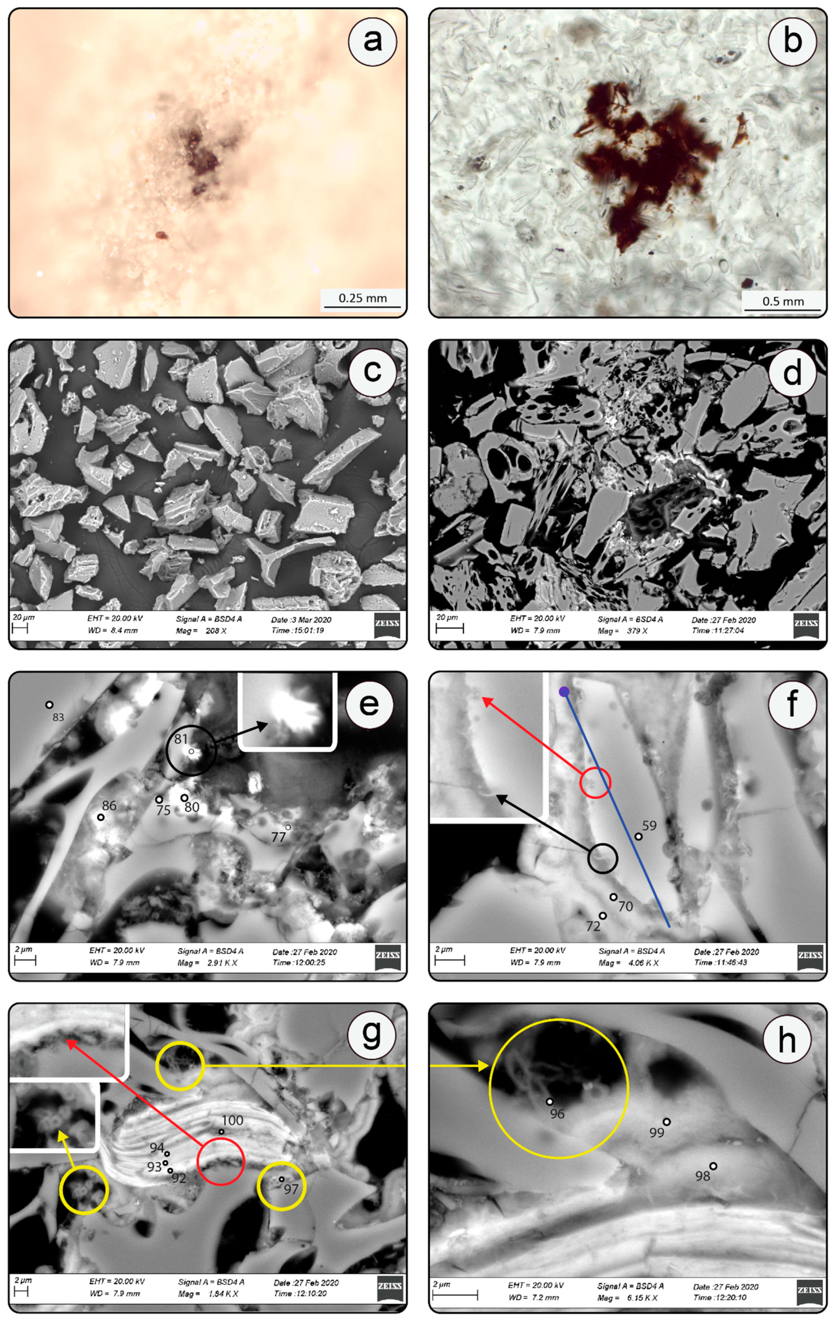 Minerals 10 00899 g002