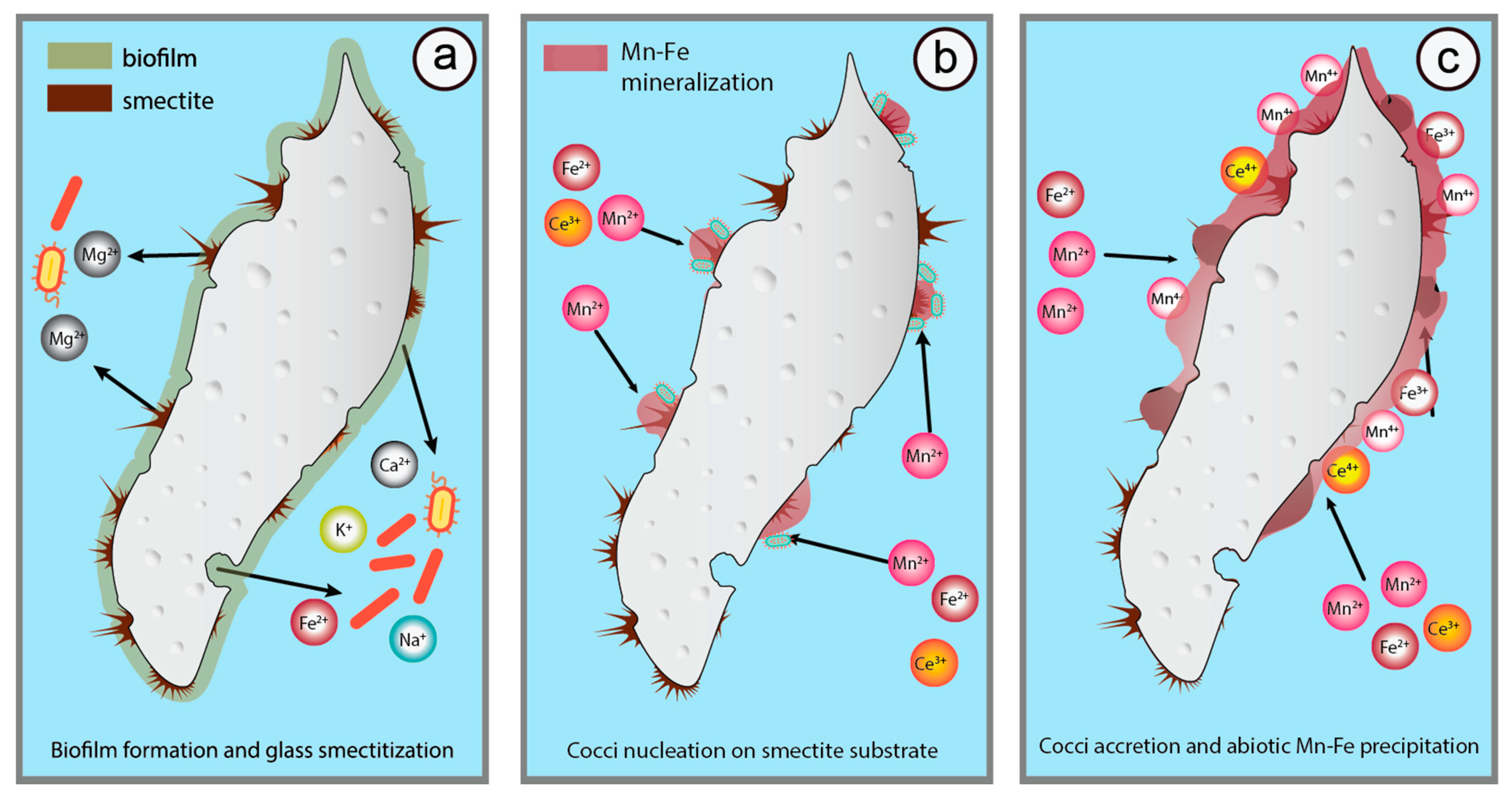 Minerals 10 00899 g006