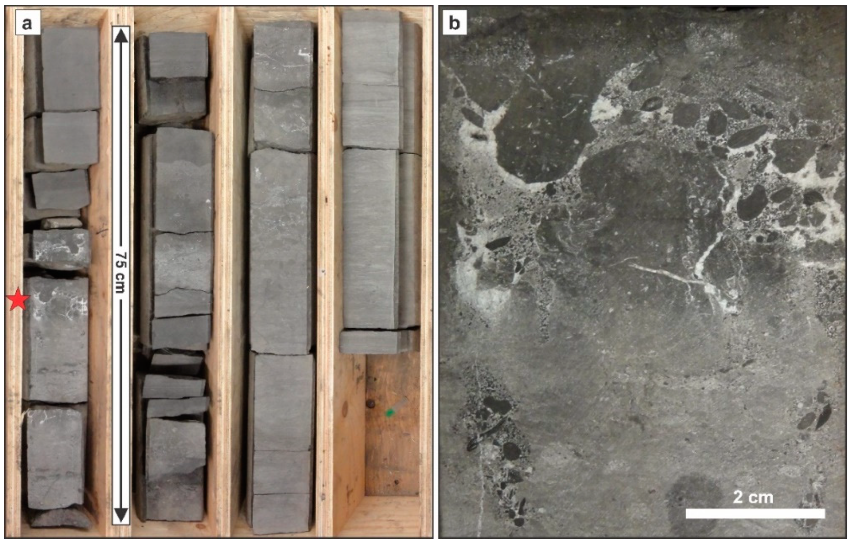 Minerals 10 00904 g005