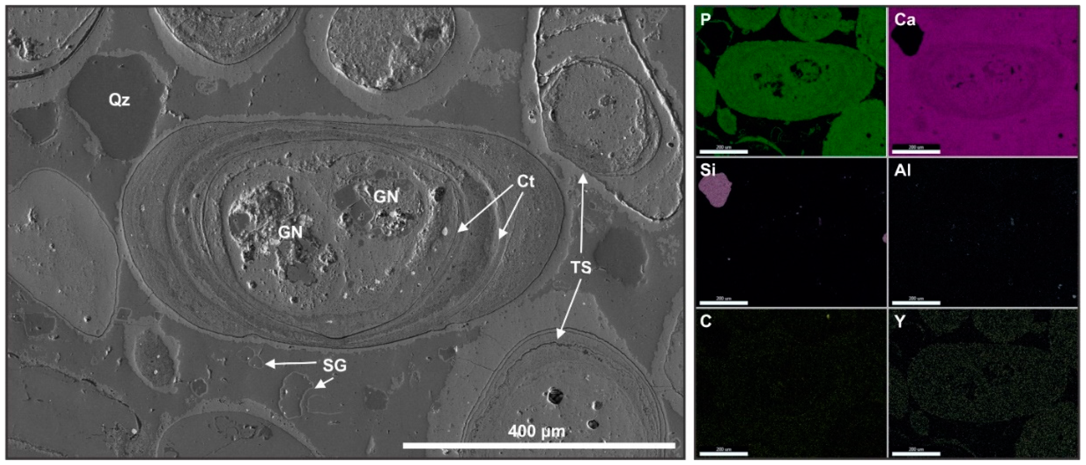 Minerals 10 00904 g007