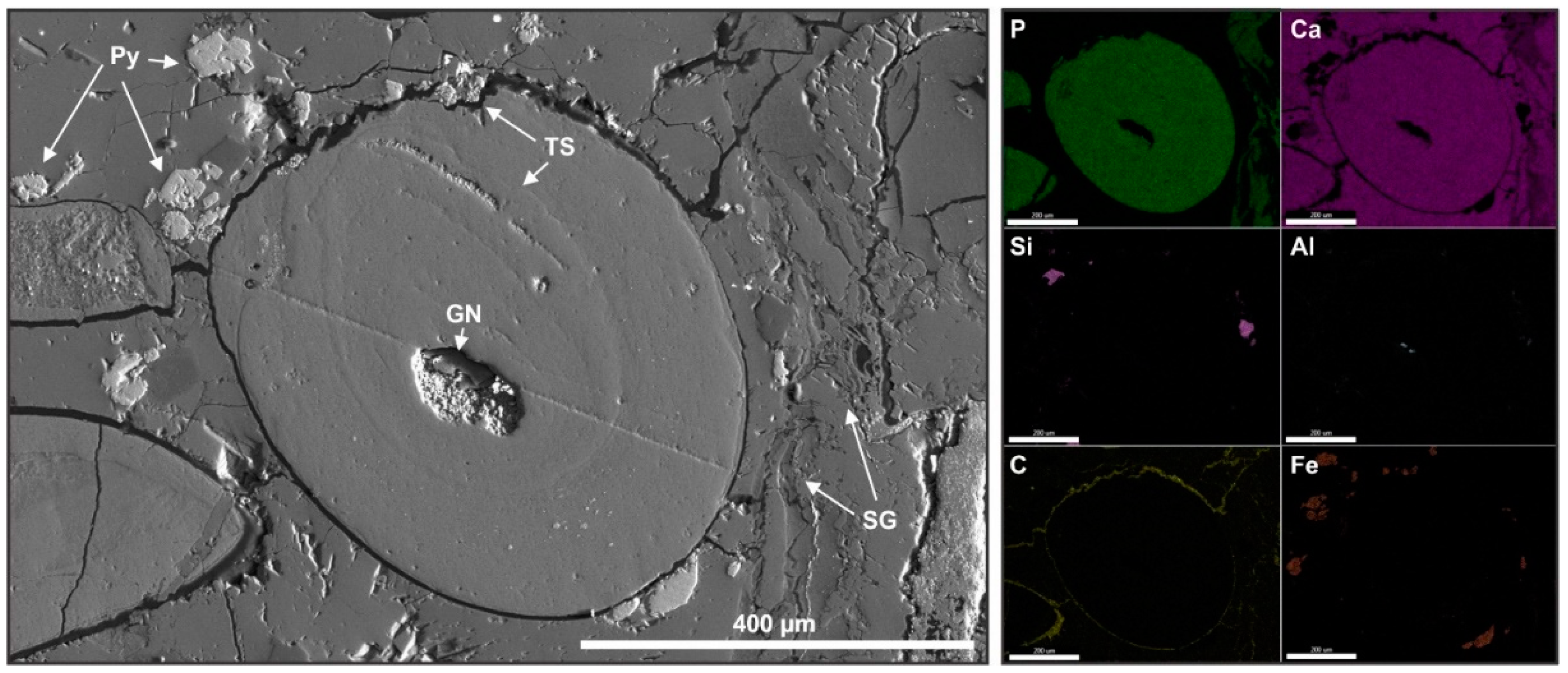 Minerals 10 00904 g008