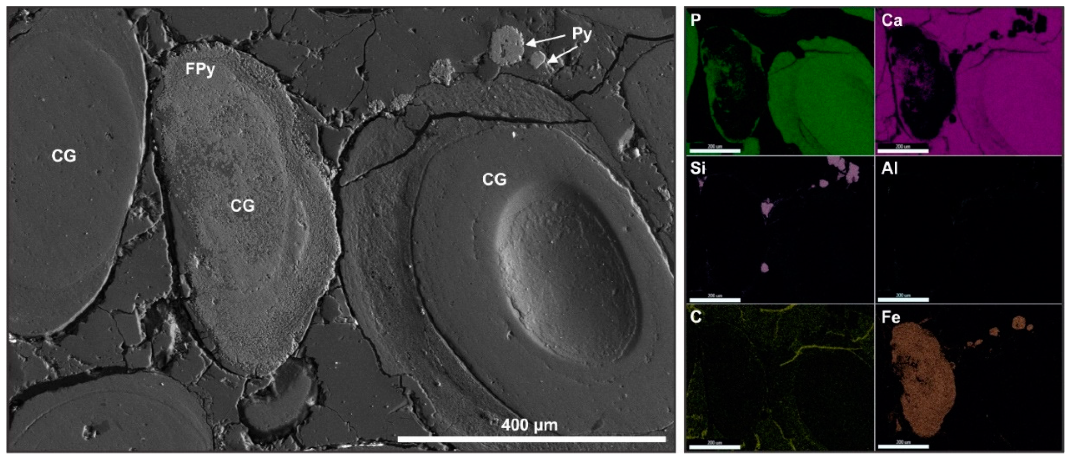Minerals 10 00904 g009