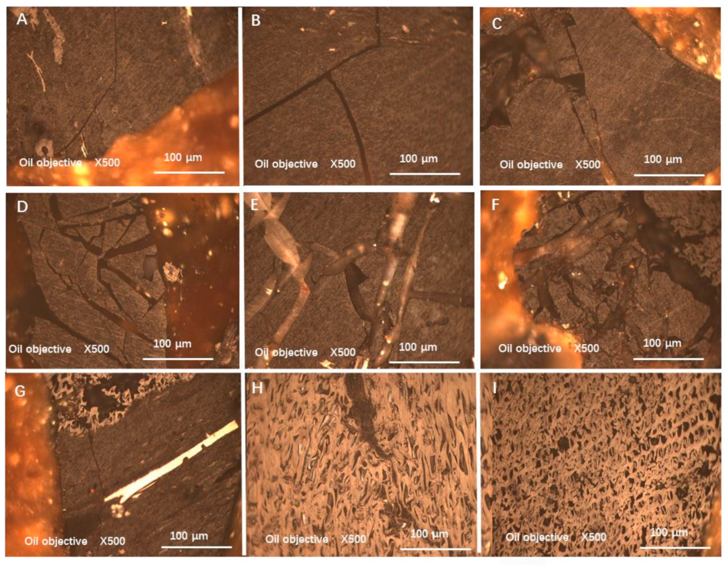 Minerals 10 00911 g006