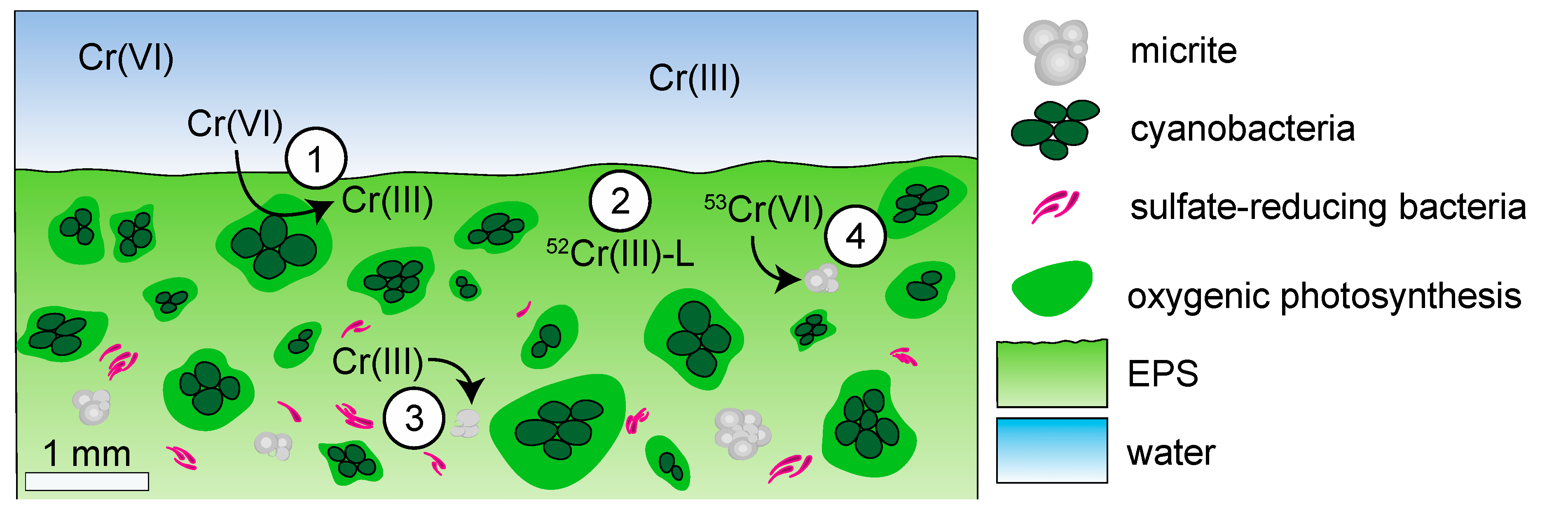 Minerals 10 00928 g007