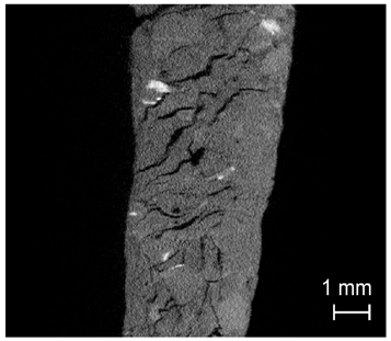 Minerals 10 00931 i039 Minerals 10 00931 i039