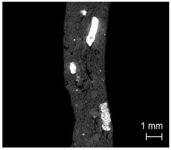 Minerals 10 00931 i045 Minerals 10 00931 i045