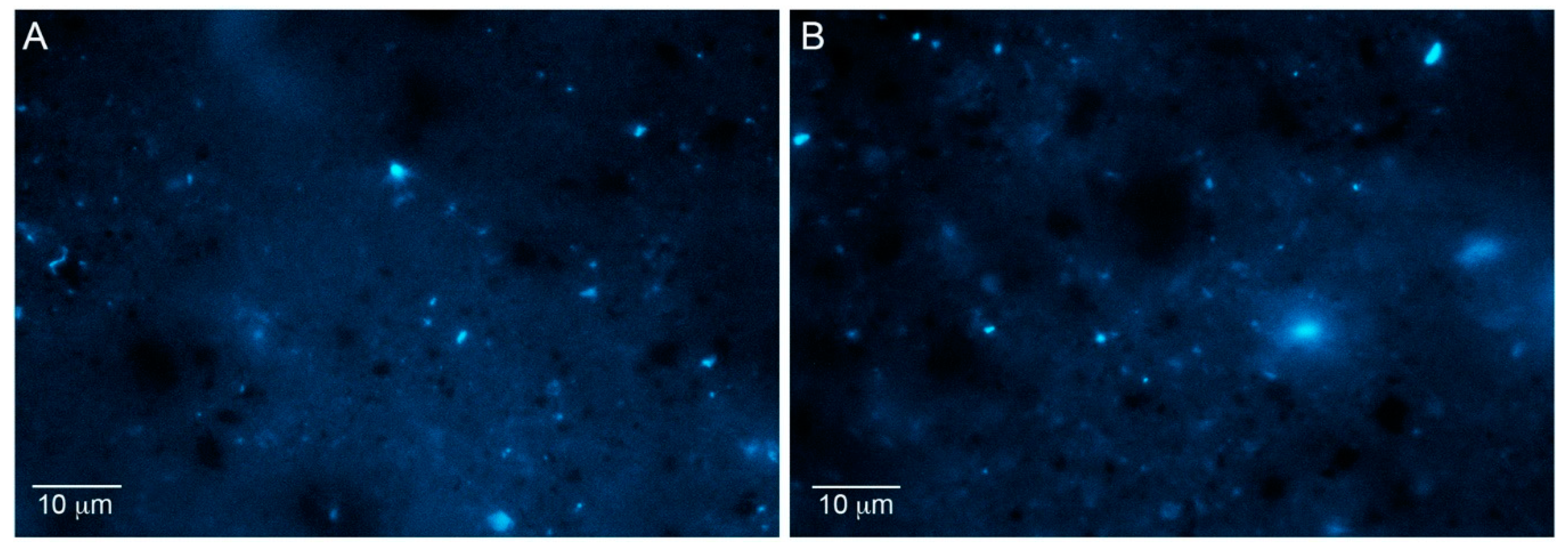 Minerals 10 00940 g007