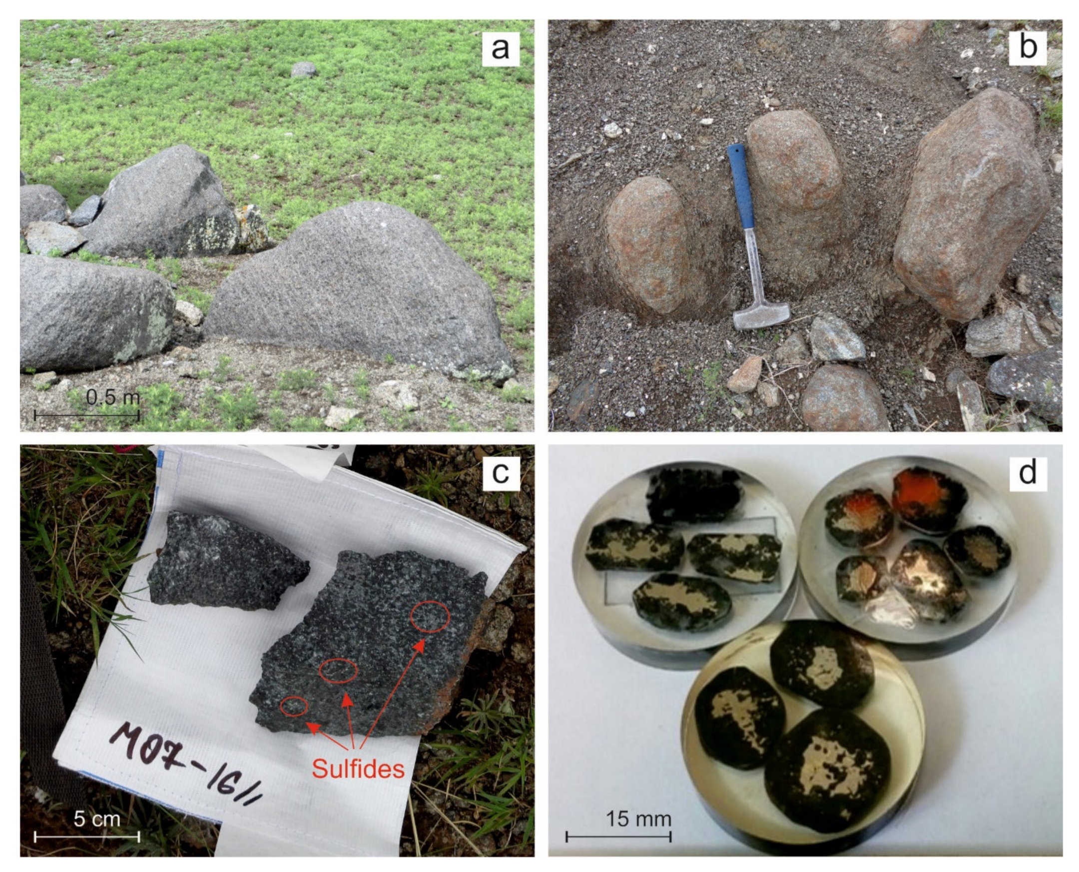 Minerals Free Full Text Pge Cu Ni Mineralization Of Mafic Ultramafic Massifs Of The Khangai Upland Western Mongolia Html