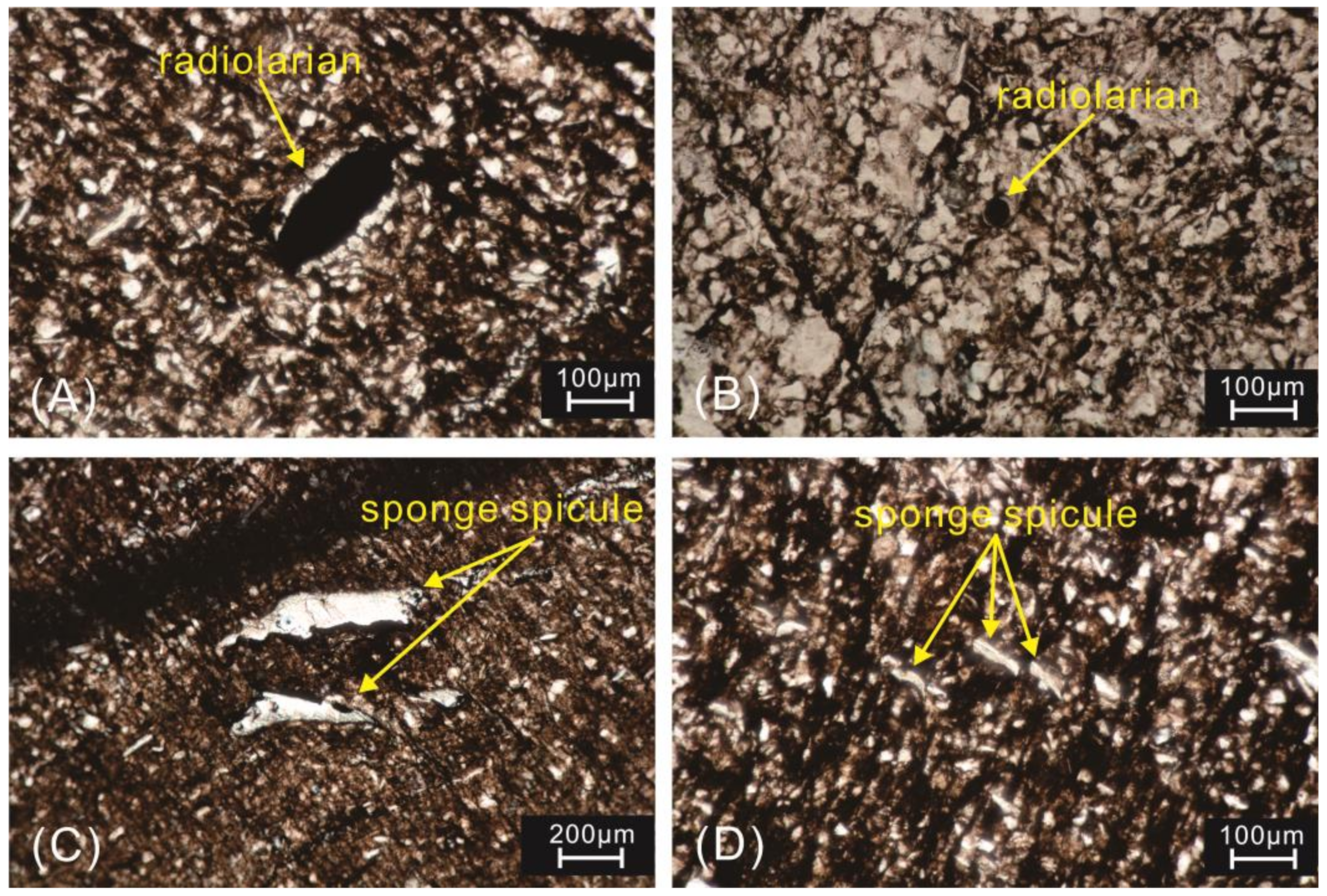 Minerals 10 00945 g012 Minerals 10 00945 g012