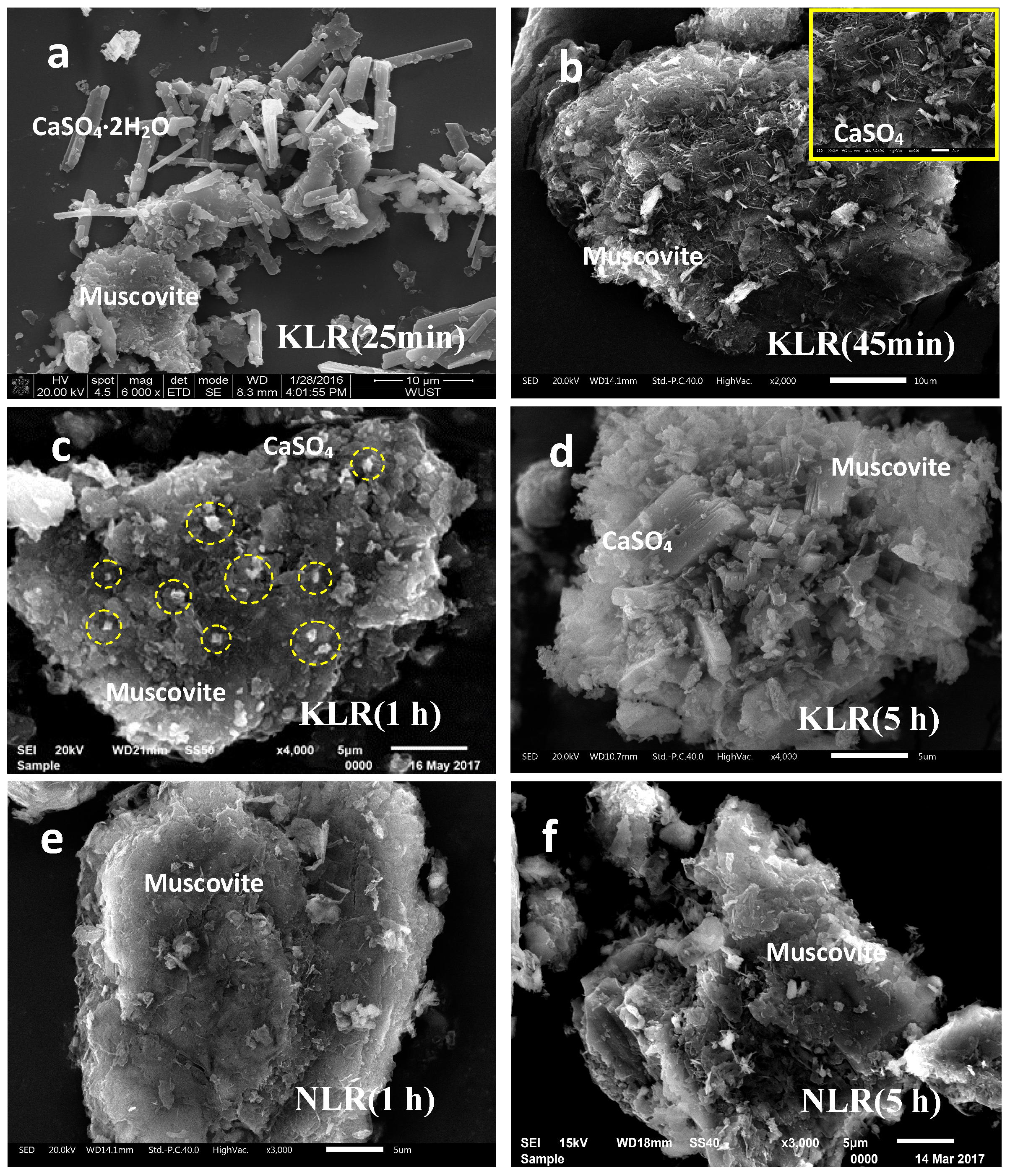 Minerals 10 00952 g008
